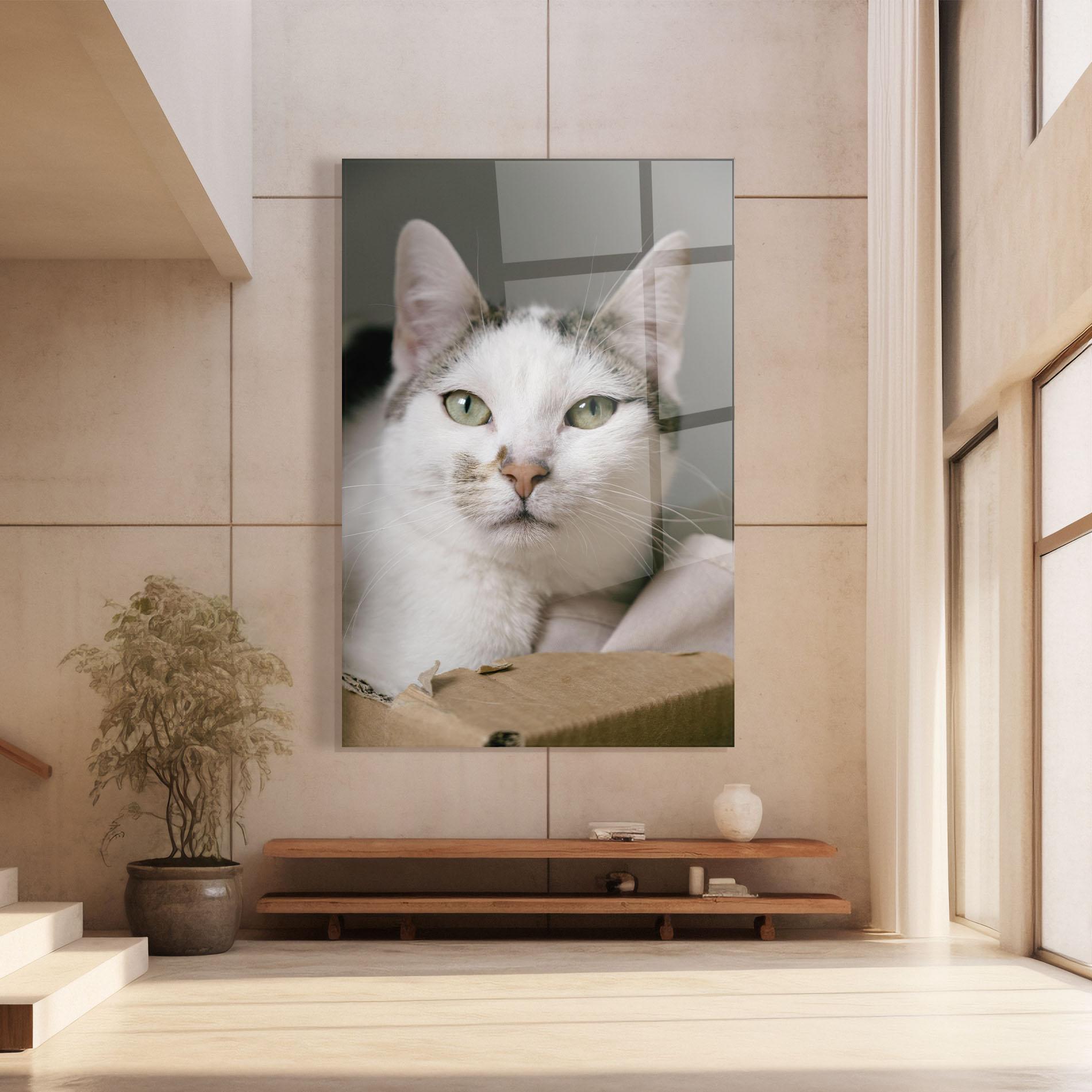 Tablou Sticla Big Sleepy Cat mockup 8