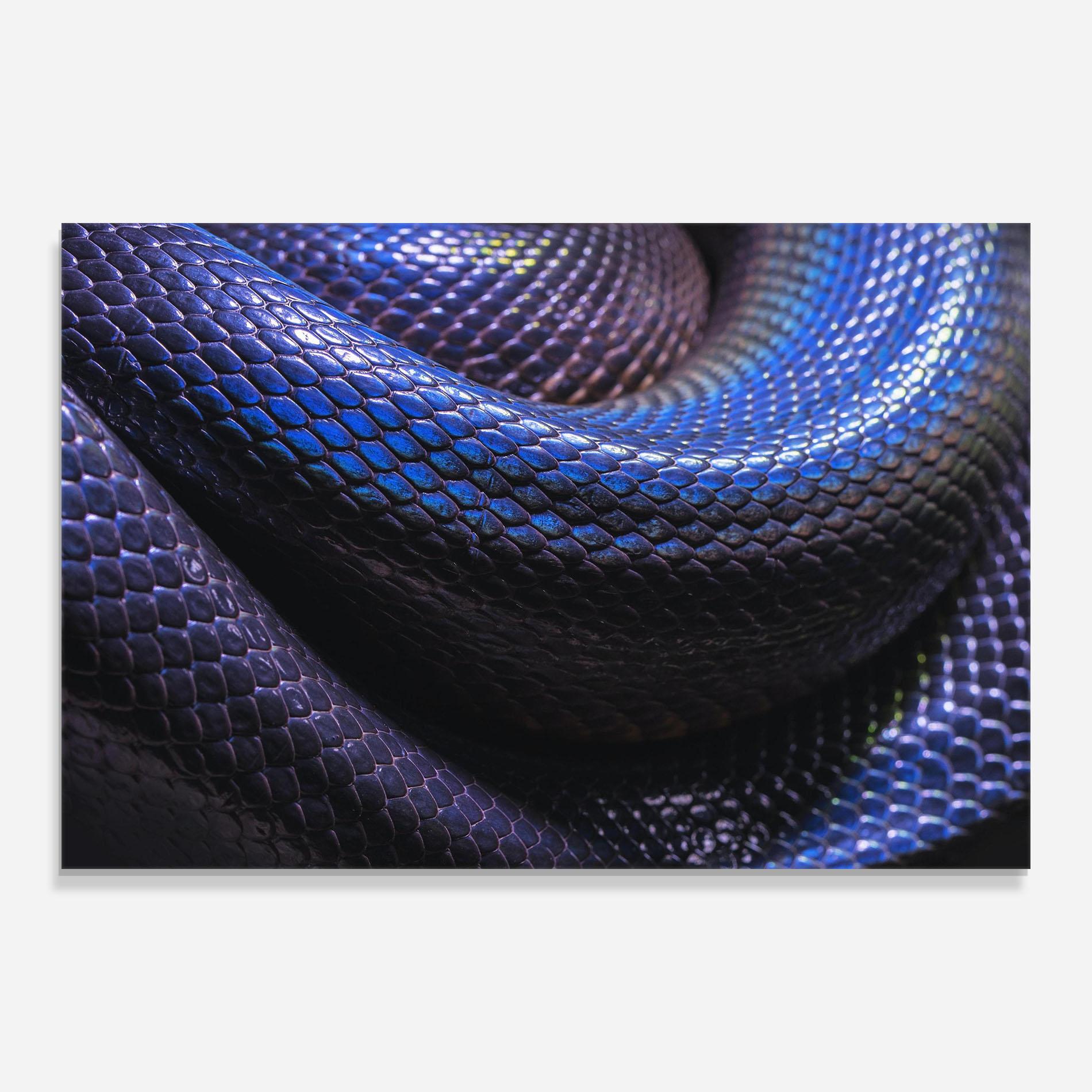 Tablou Sticla Snake Skin mockup 0