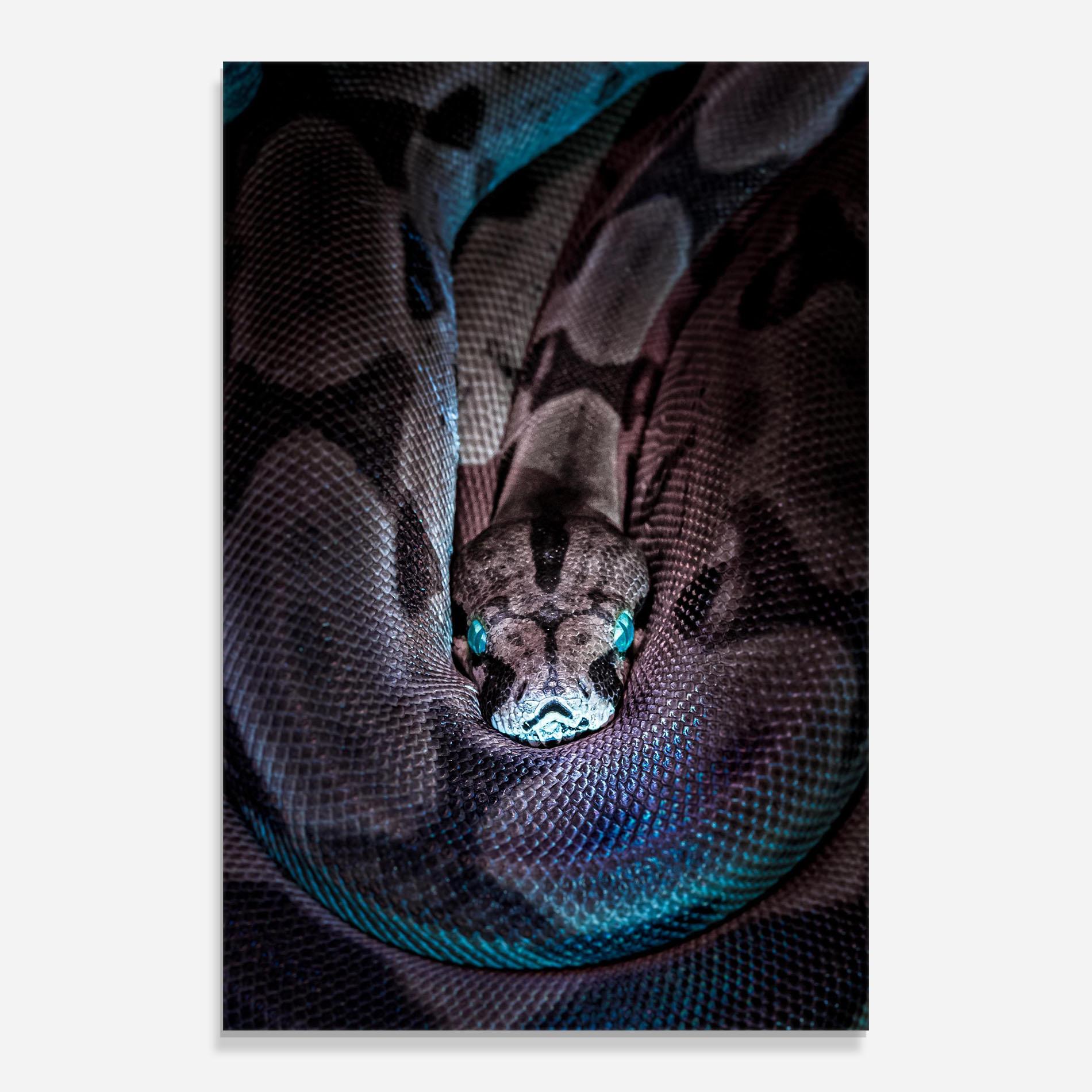 Tablou Sticla Vibrant Snake mockup 0