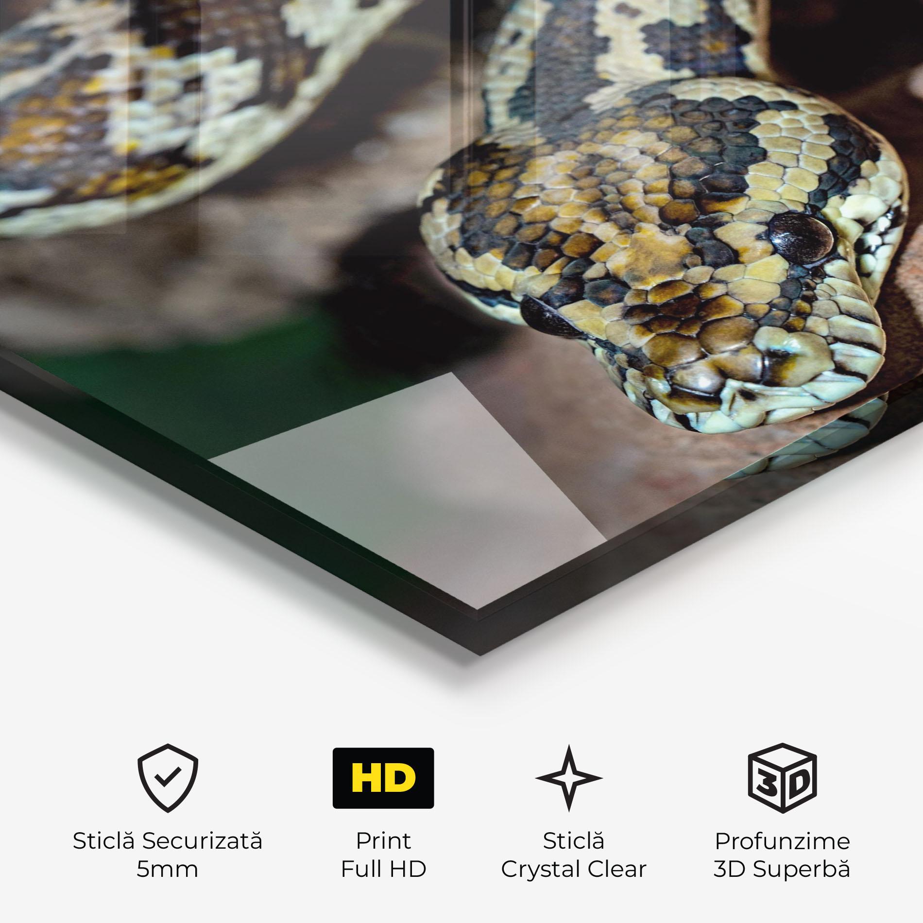 Tablou Sticla King Snake mockup 3