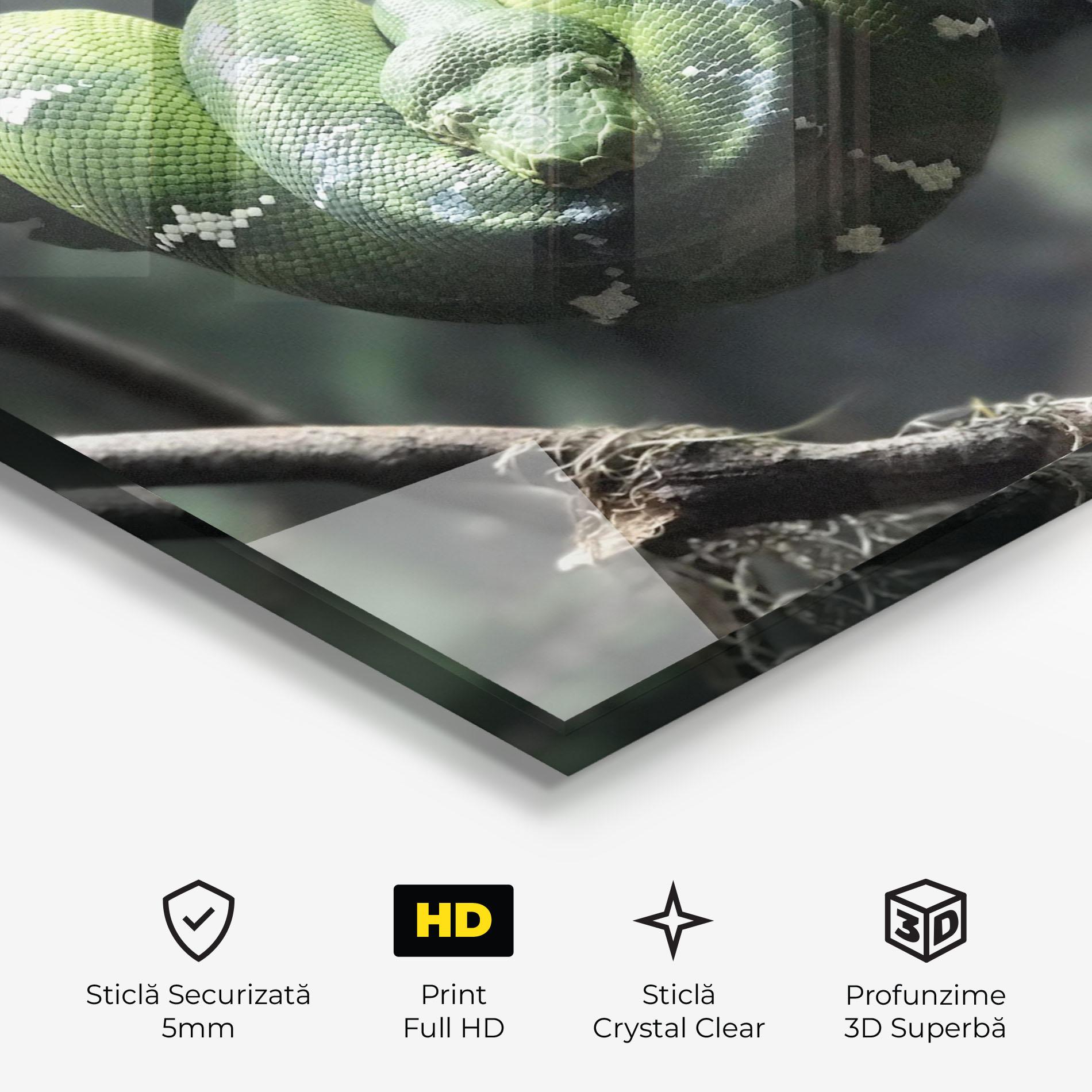 Tablou Sticla Sleepy Snake mockup 3