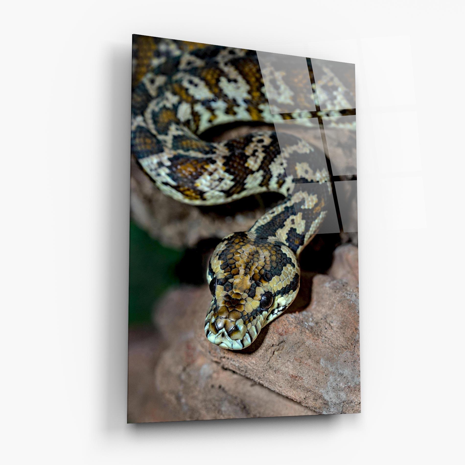 Tablou Sticla King Snake mockup 6