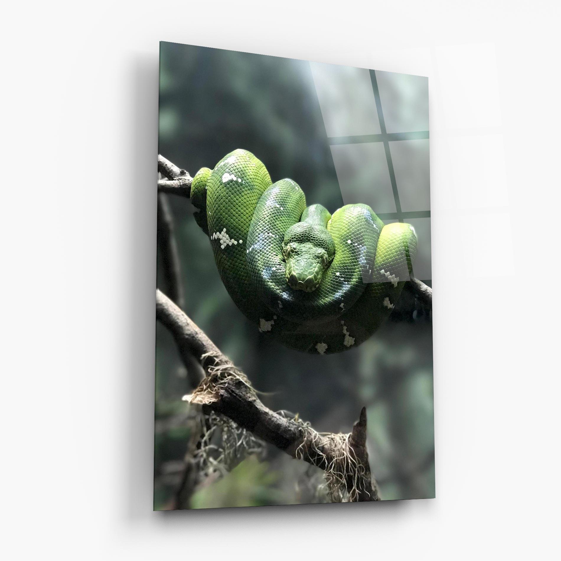 Tablou Sticla Sleepy Snake mockup 6