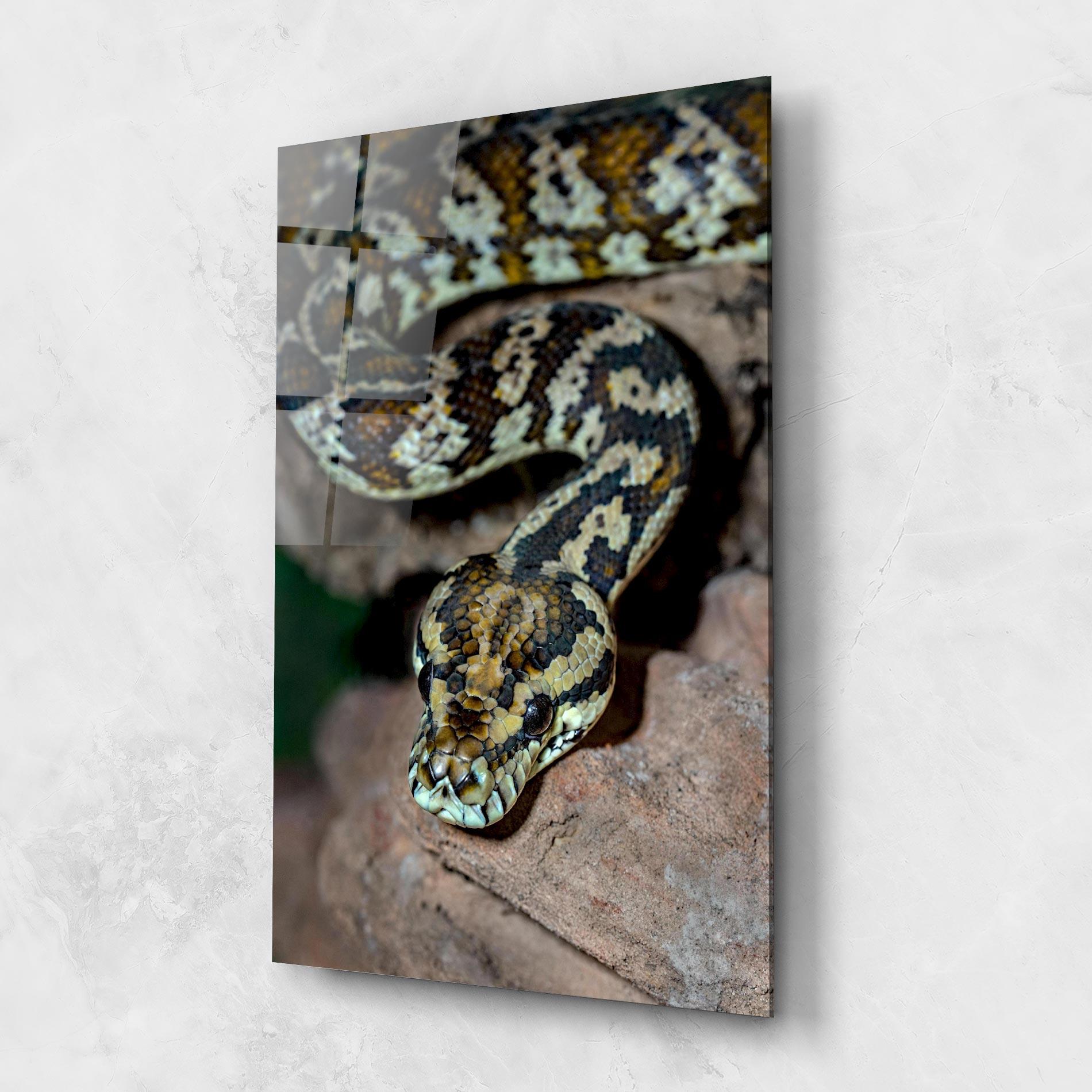 Tablou Sticla King Snake mockup 1