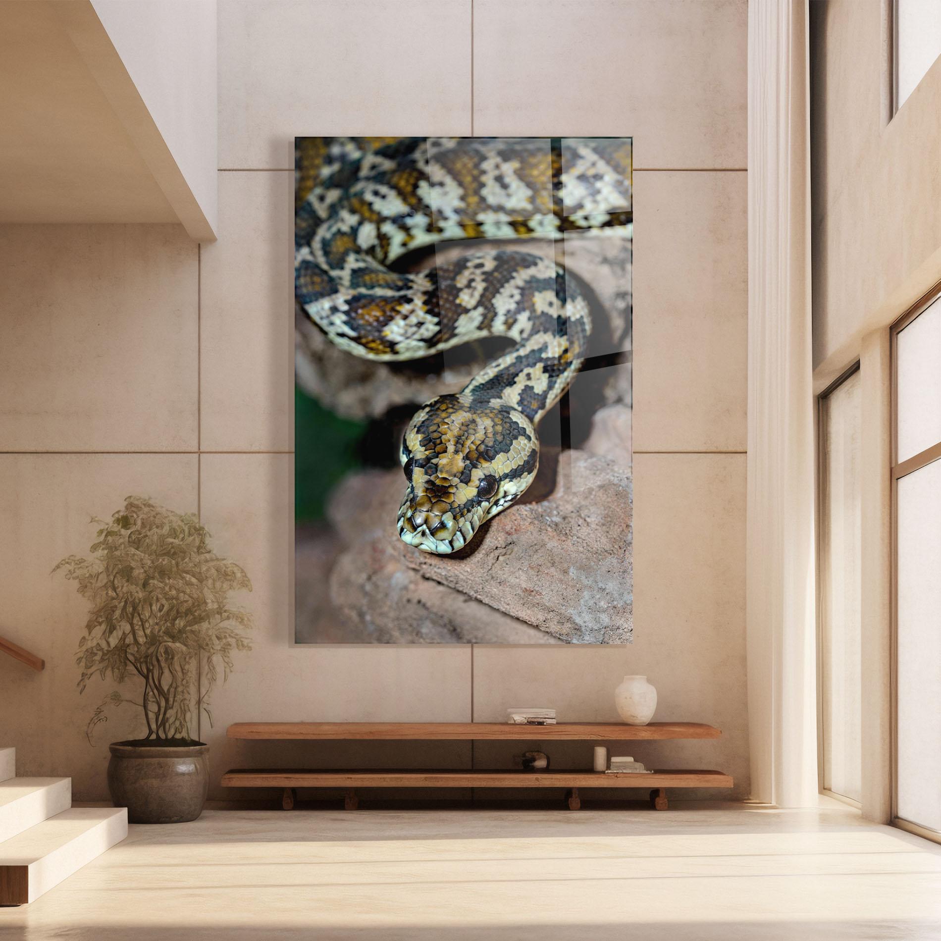 Tablou Sticla King Snake mockup 8