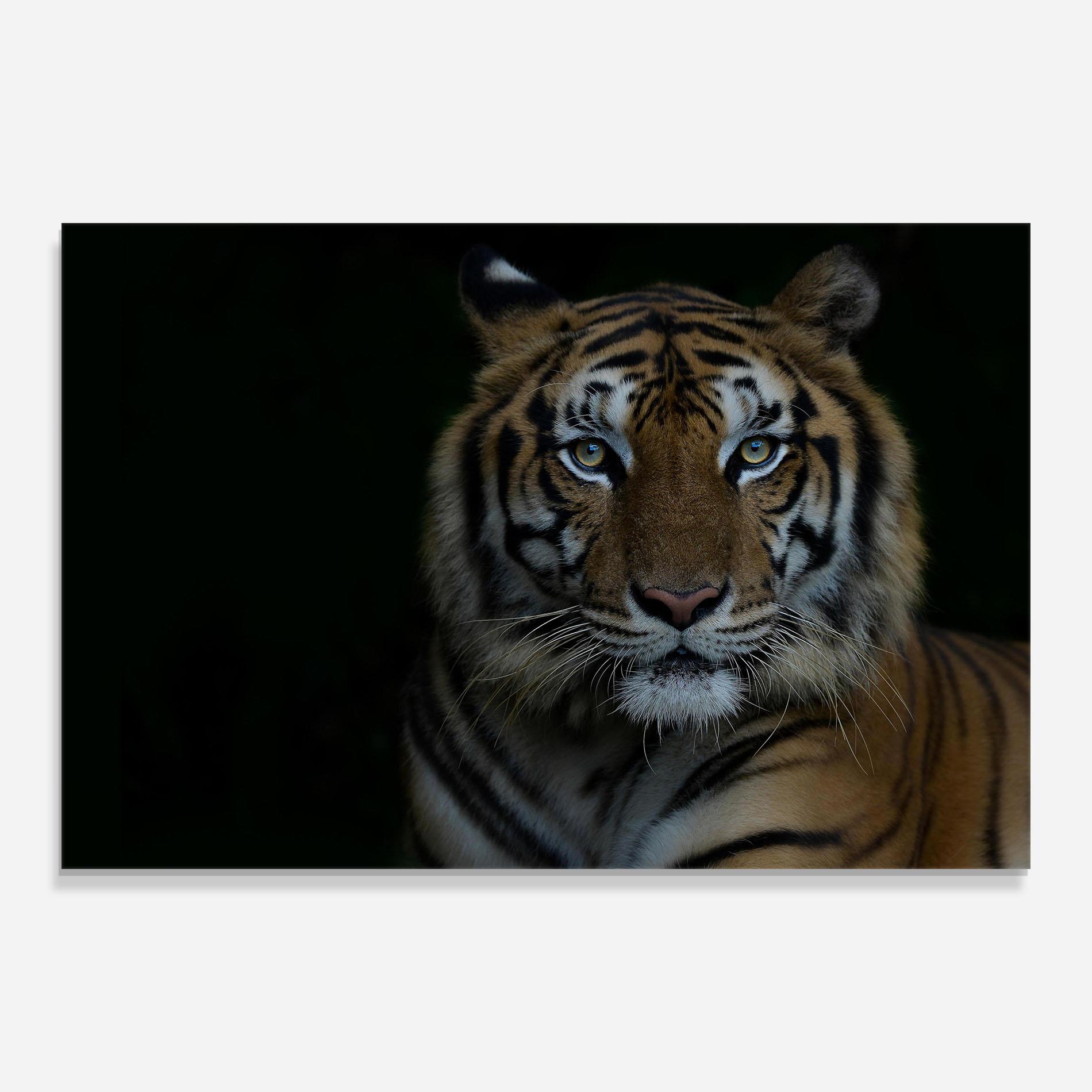 Tablou Sticla Close Up Tiger mockup 0