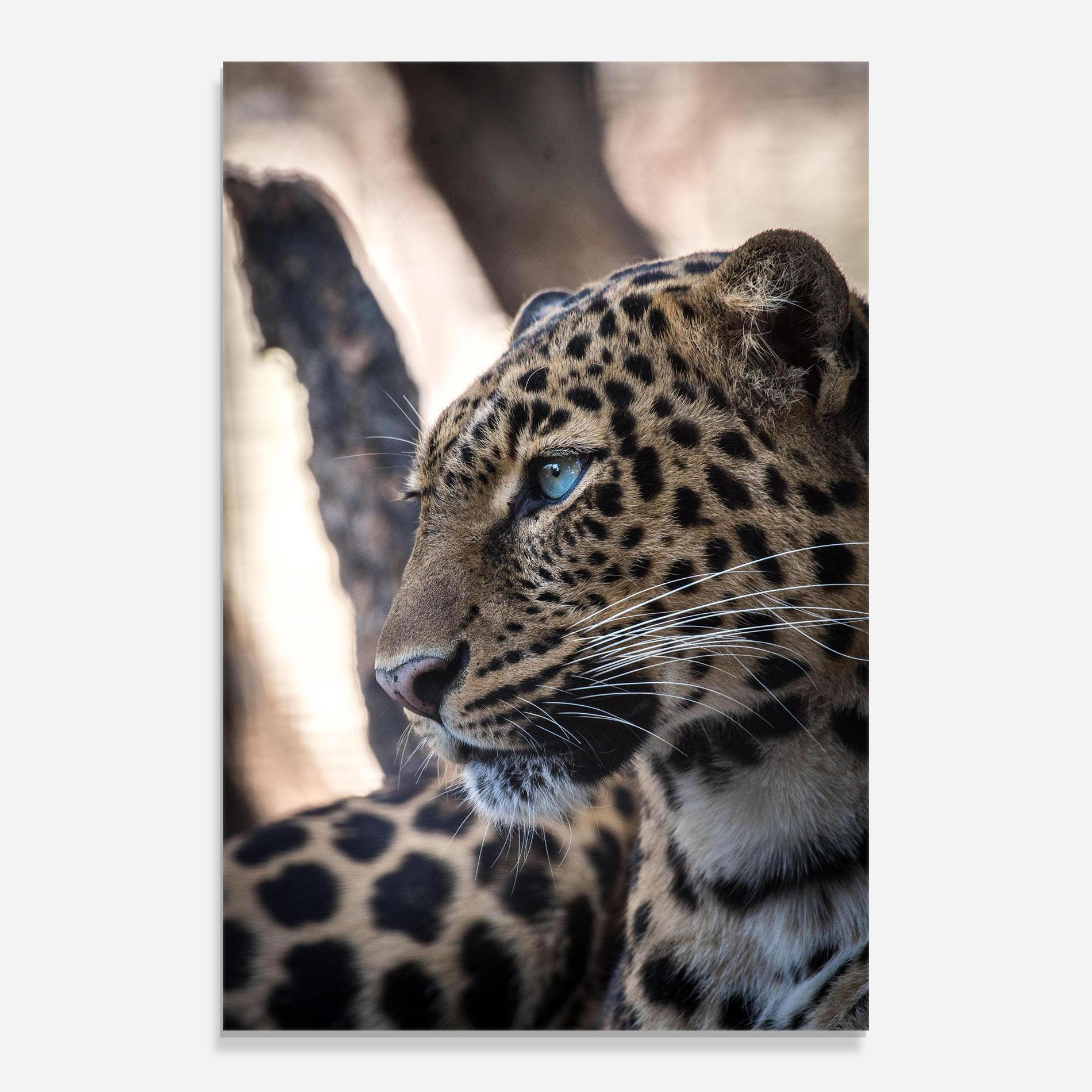 Tablou Sticla Blue Tiger mockup 0