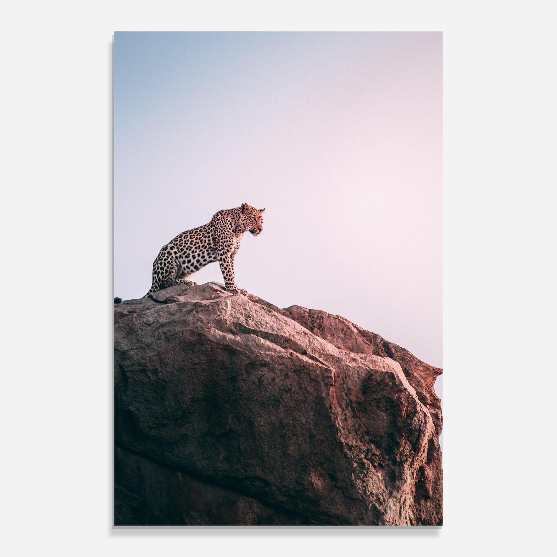 Tablou Sticla Mountain Leopard mockup 0