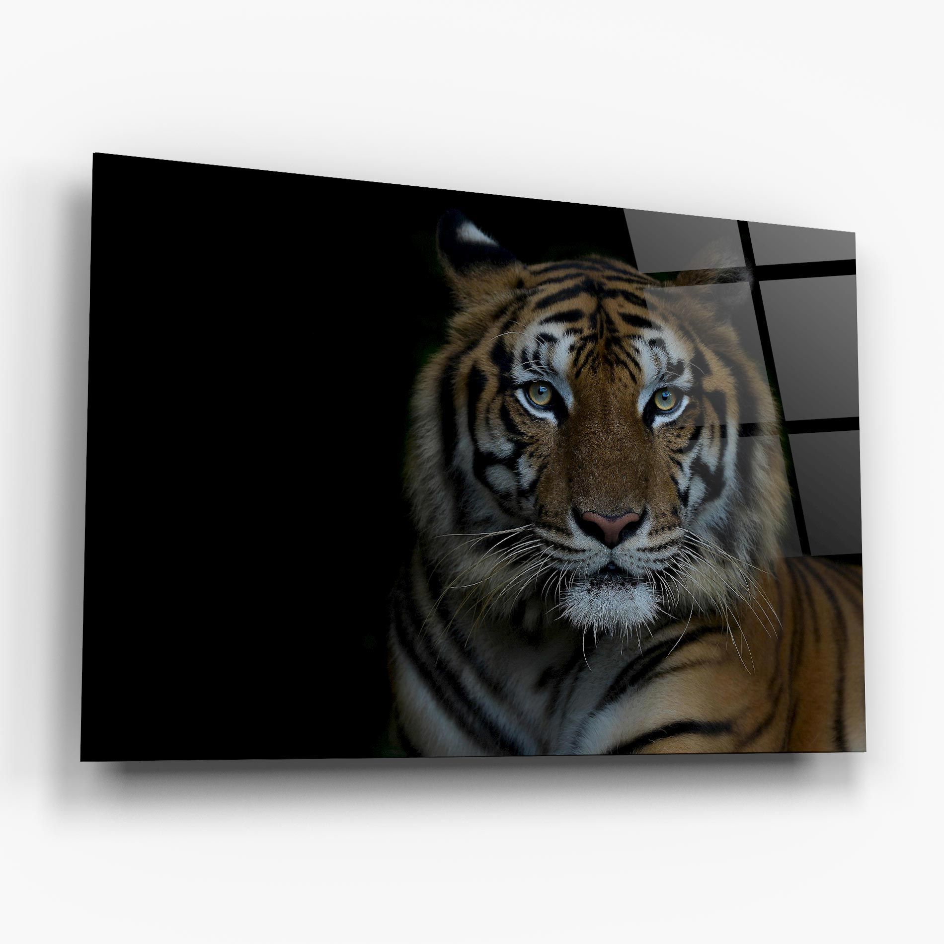 Close Up Tiger mockup 6