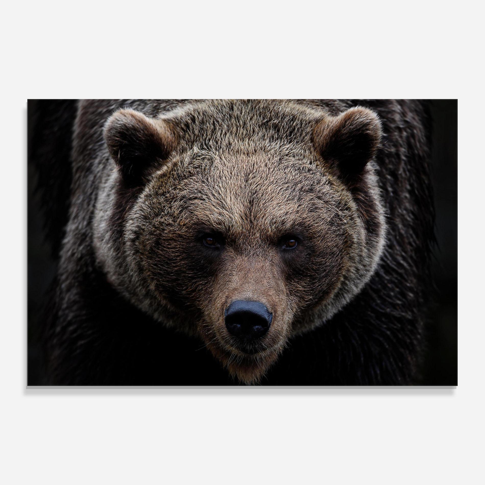 Tablou Sticla Brown Bear mockup 0