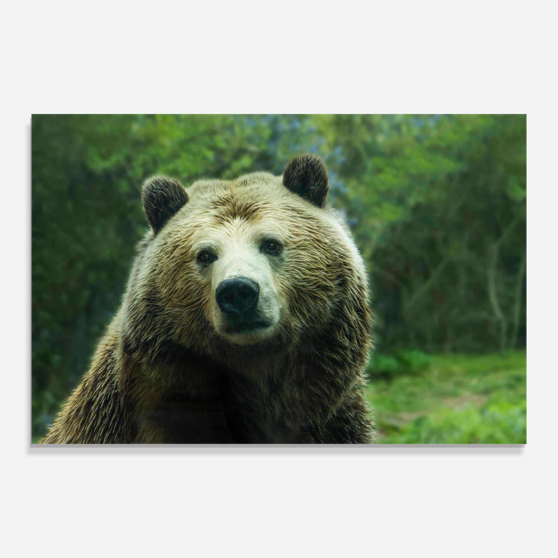 Tablou Sticla Green Bear mockup 0