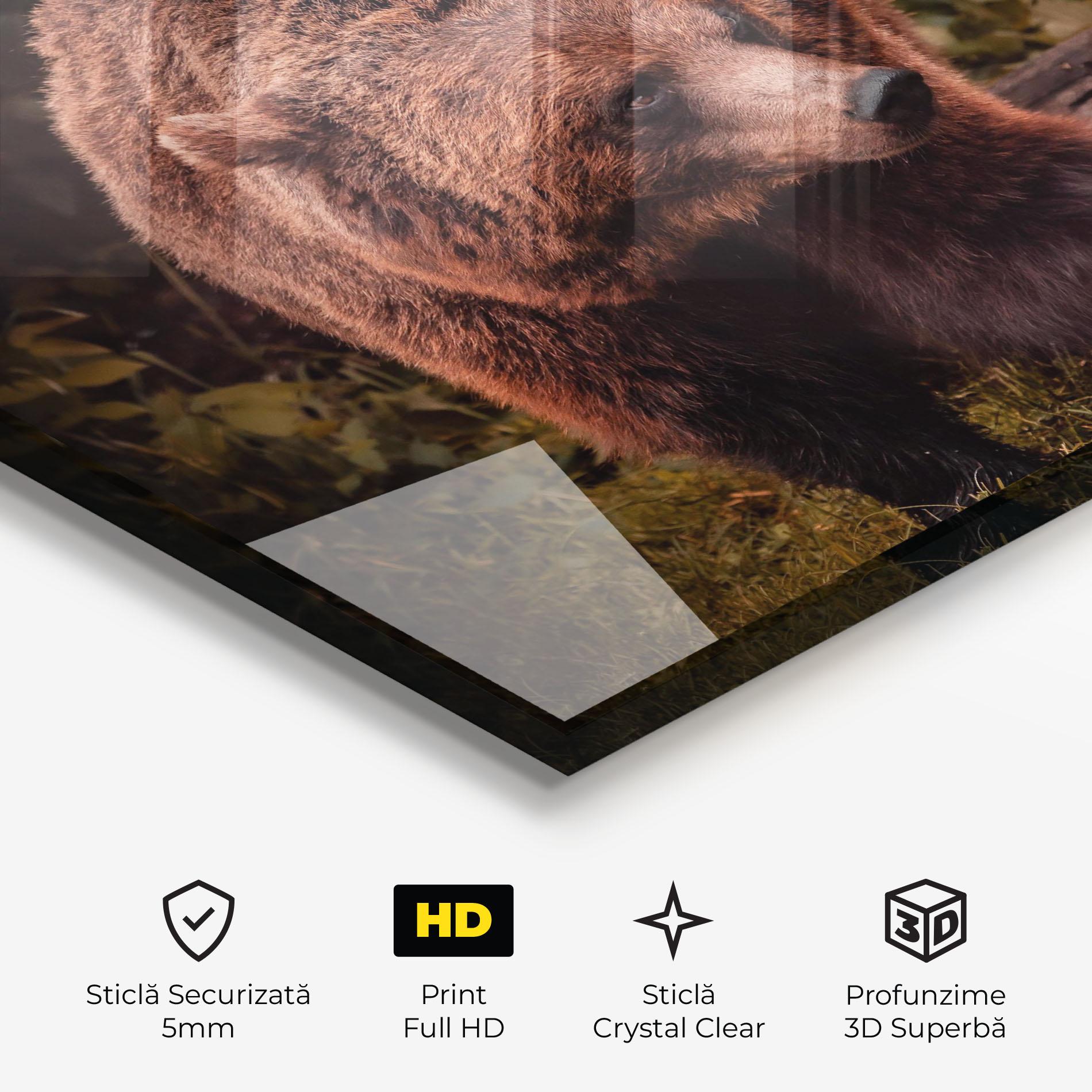 Tablou Sticla Brown Bear mockup 3