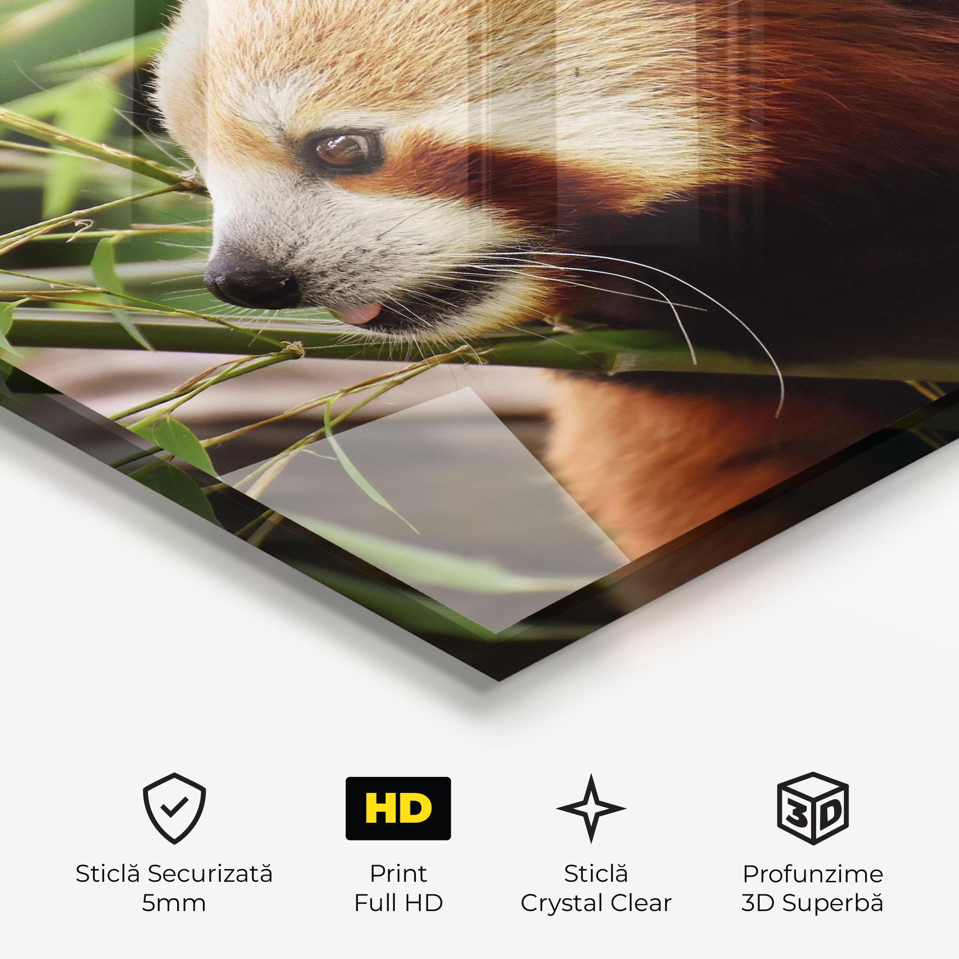 Tablou Sticla Cute Red Panda mockup 3