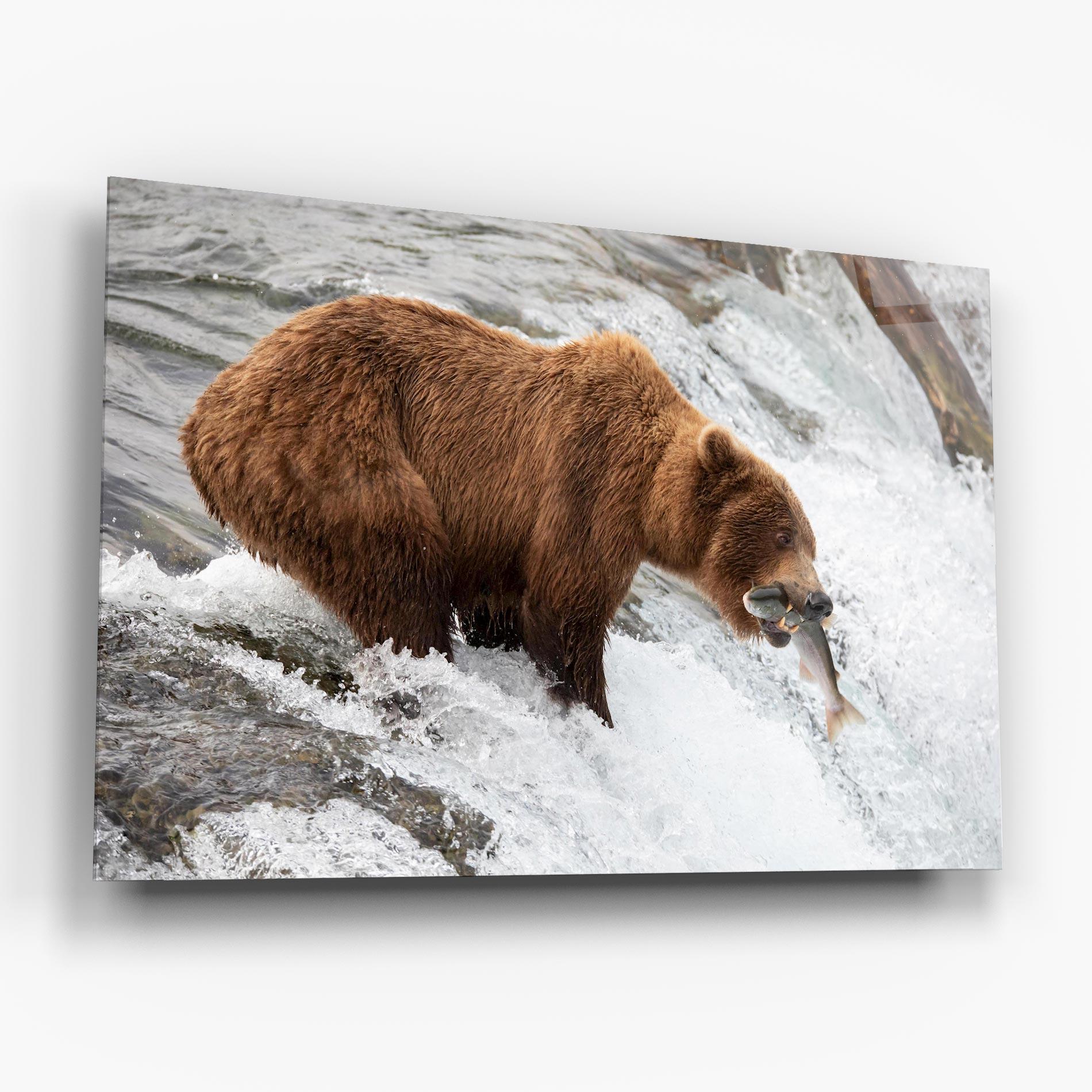 Tablou Sticla Bear Hunting mockup 6