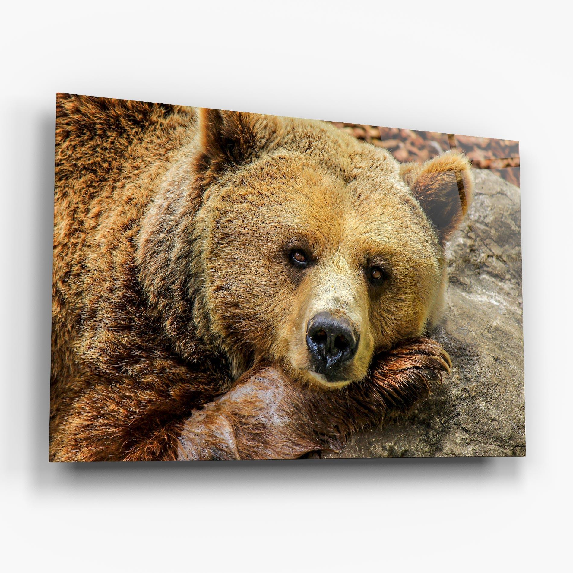 Tablou Sticla Bear mockup 6
