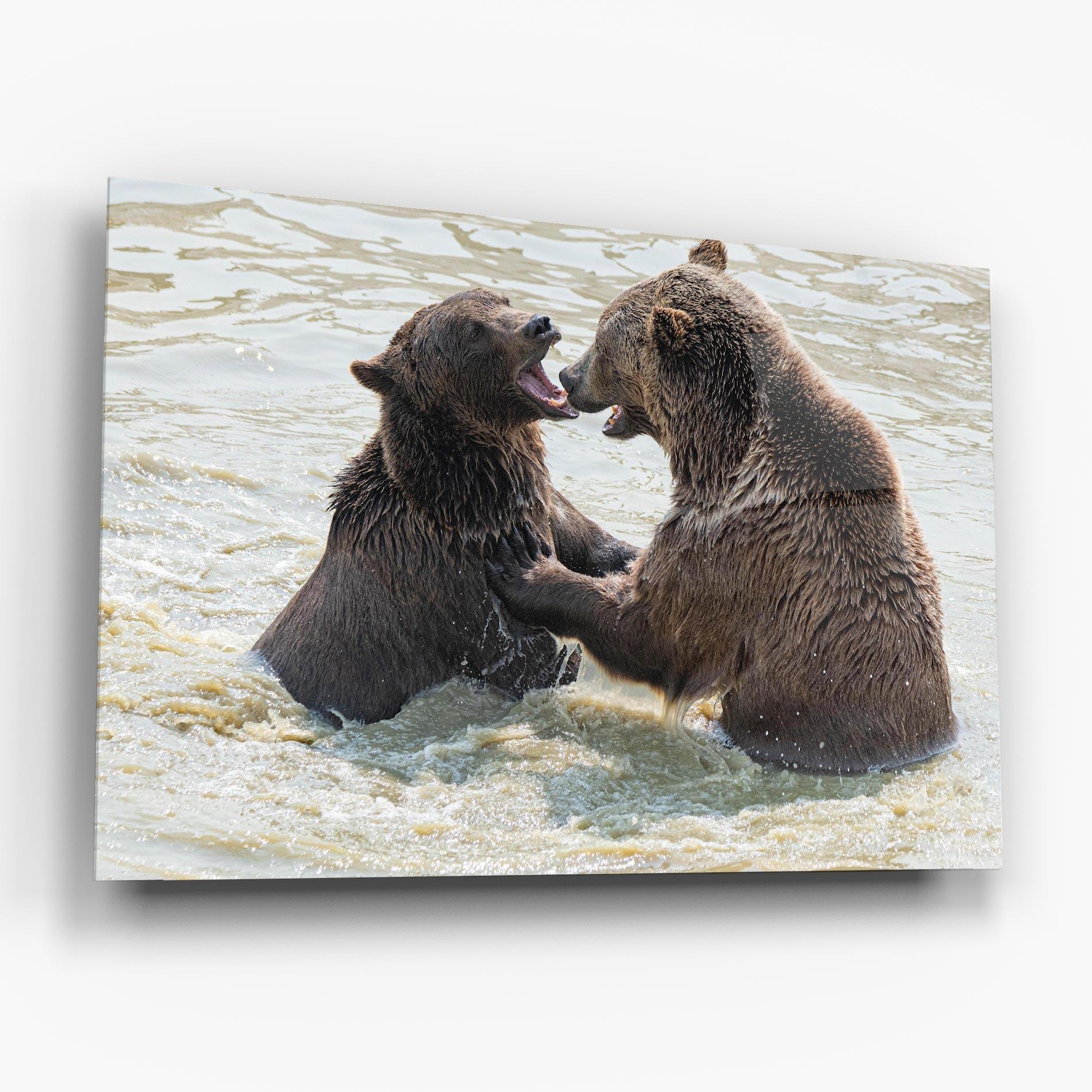Tablou Sticla Bears Fighting mockup 6