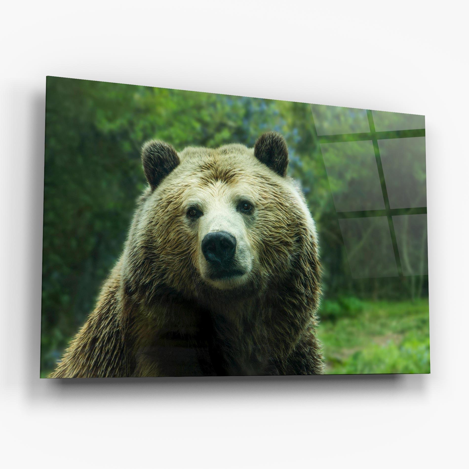 Tablou Sticla Green Bear mockup 6