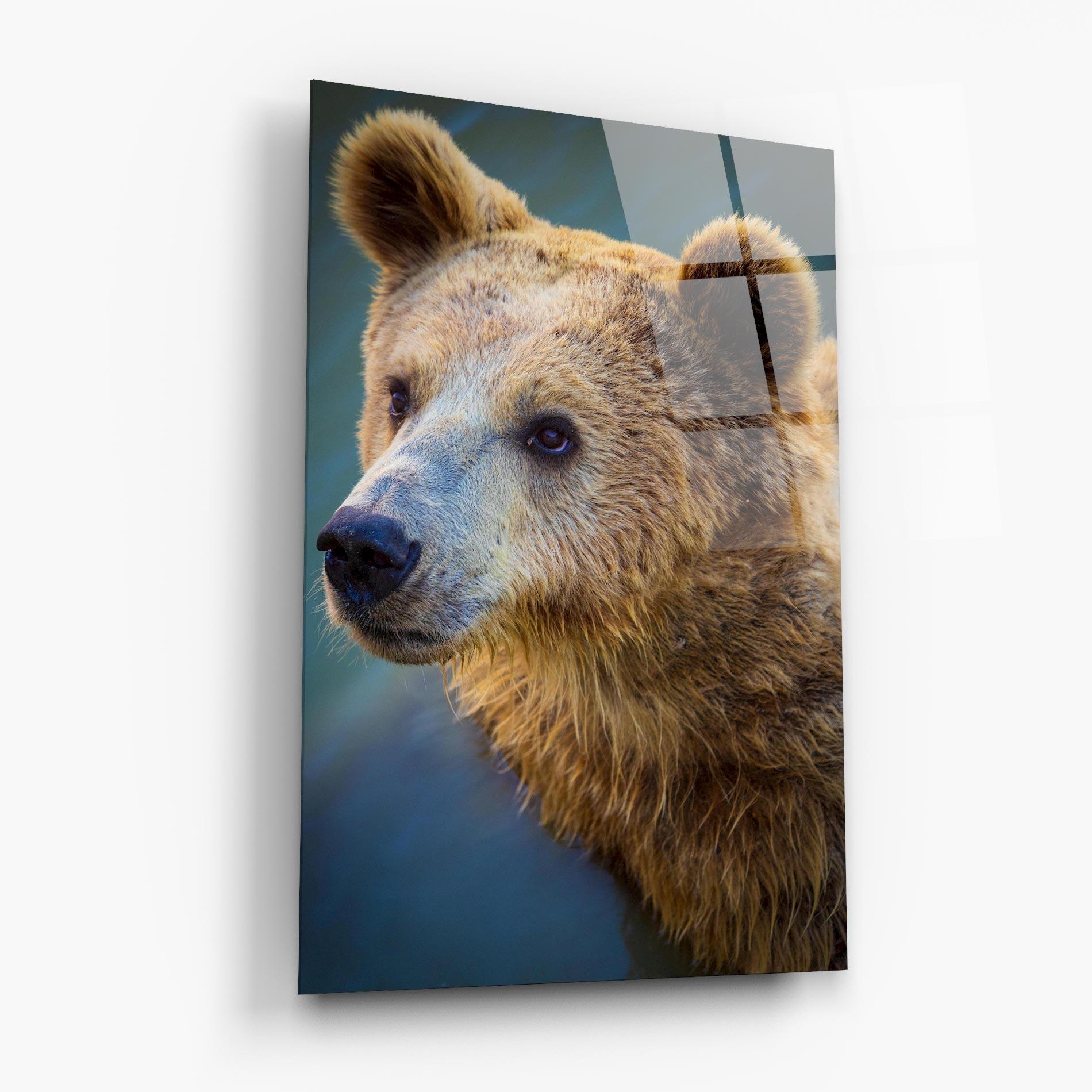 Tablou Sticla Bear Head mockup 6