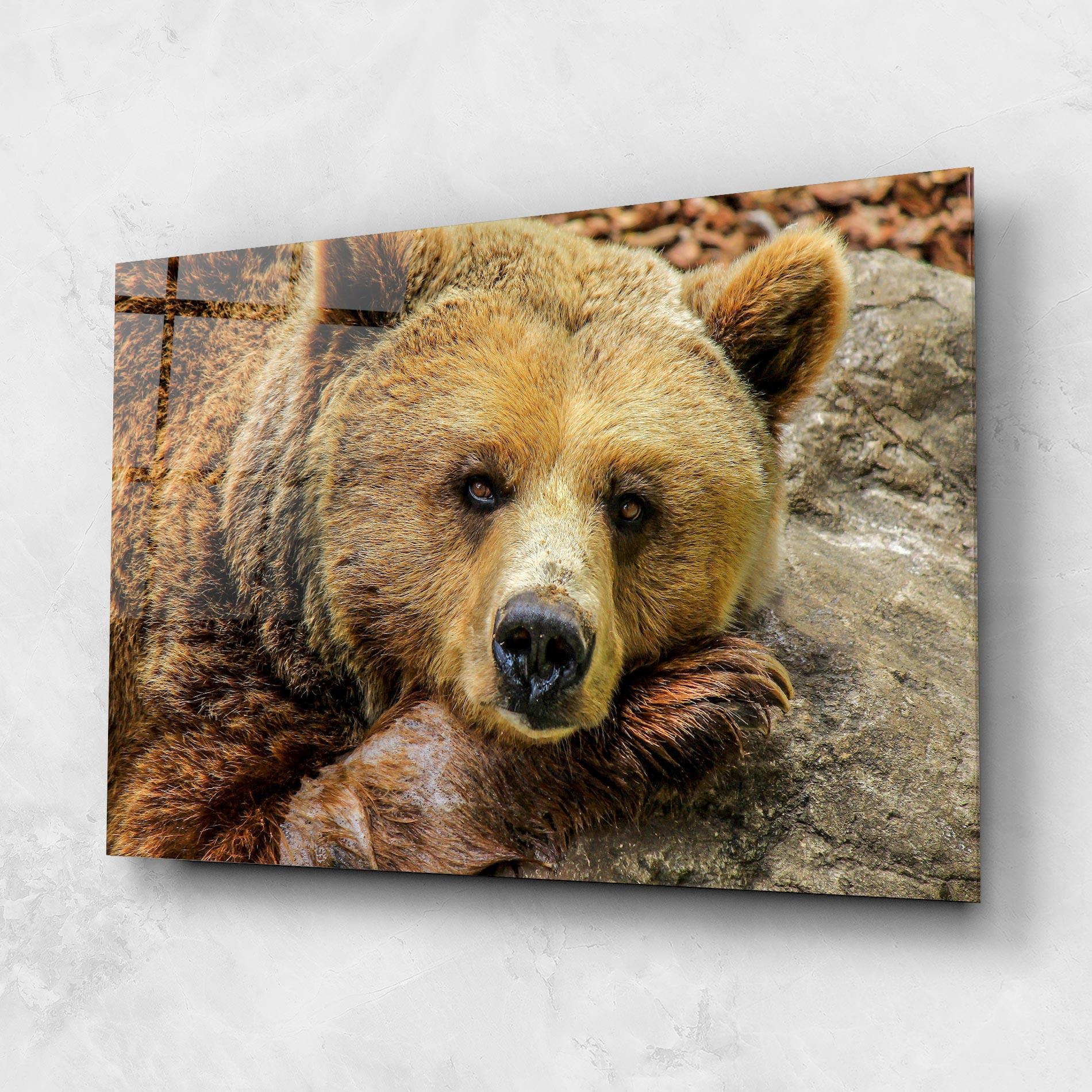 Tablou Sticla Bear mockup 1