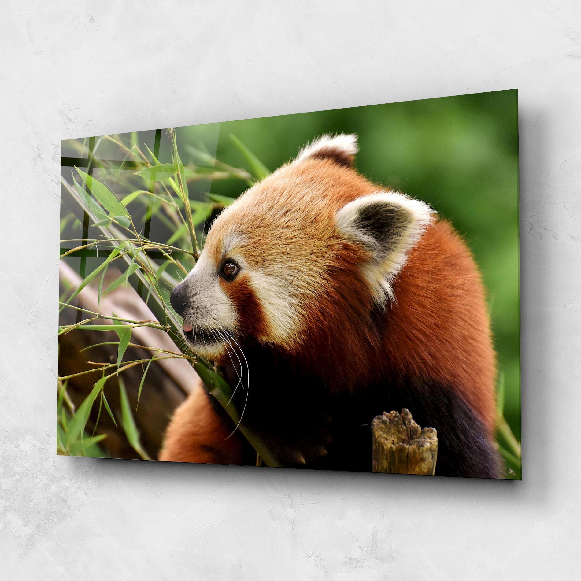 Tablou Sticla Cute Red Panda mockup 1