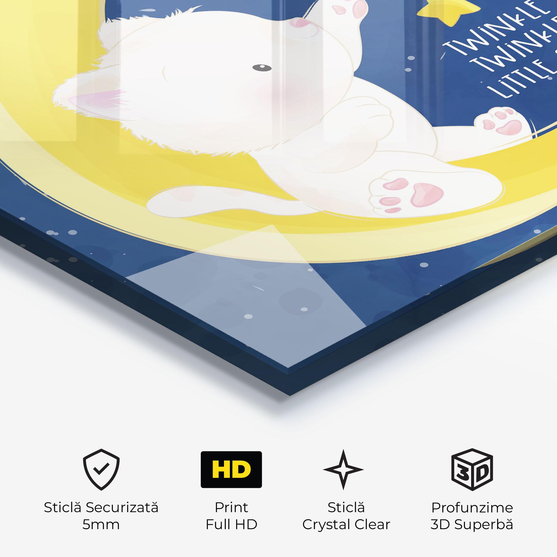 Tablou Sticla Cat Moon Star mockup 3