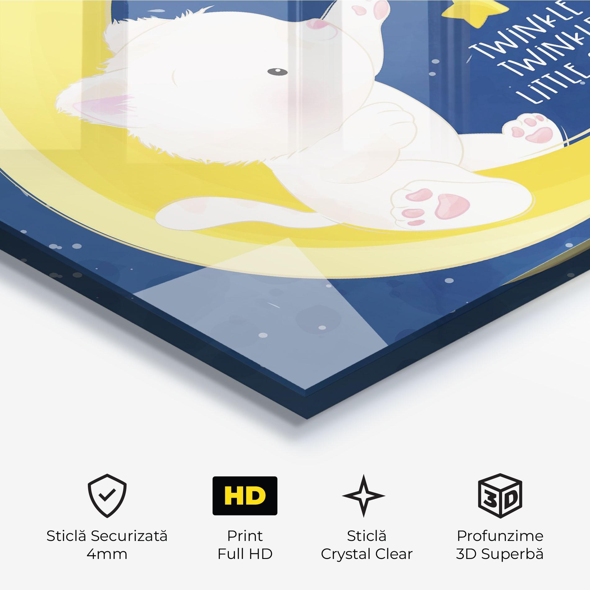 Tablou Sticla Cat Moon Star mockup 3