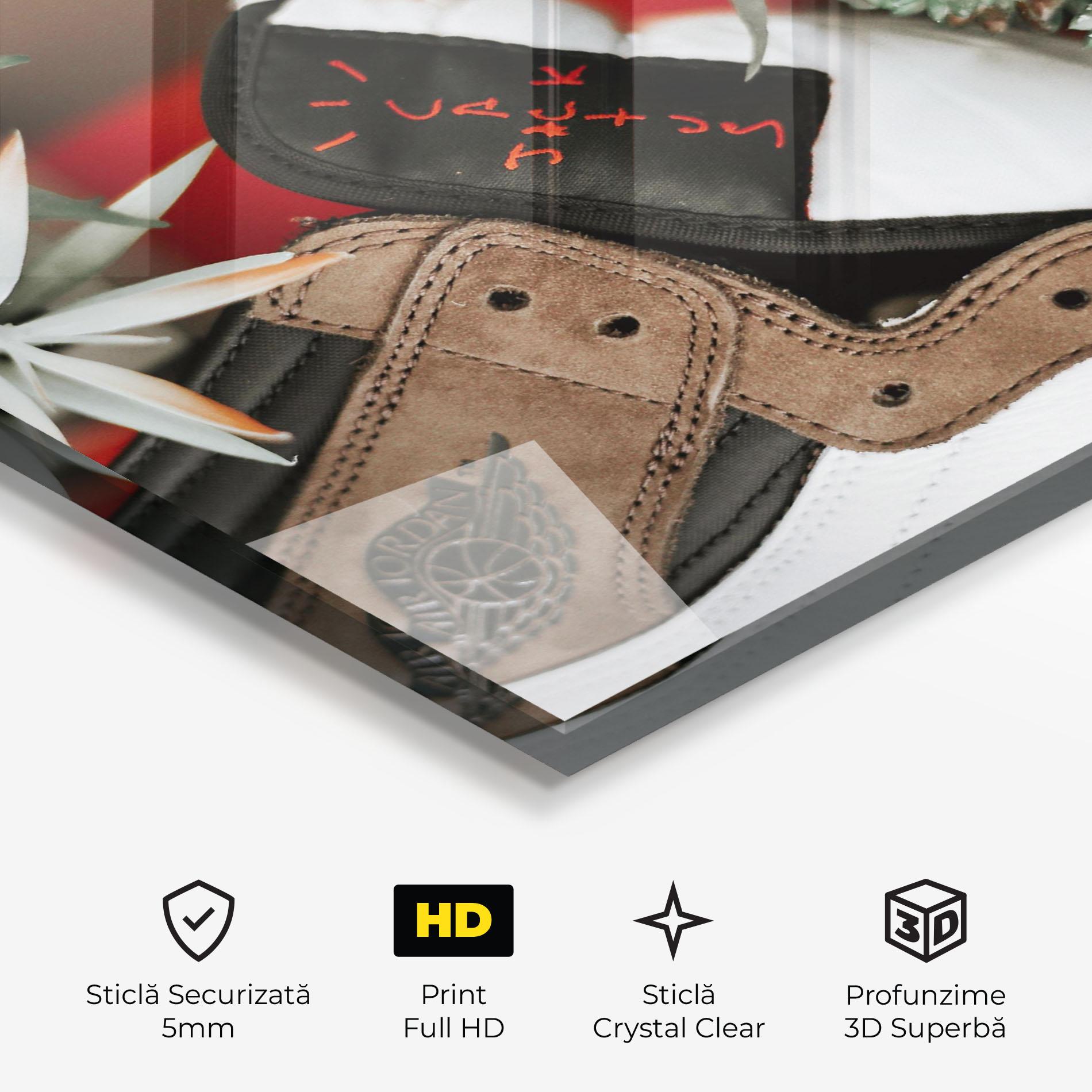 Tablou Sticla Brown Air Jordan mockup 3