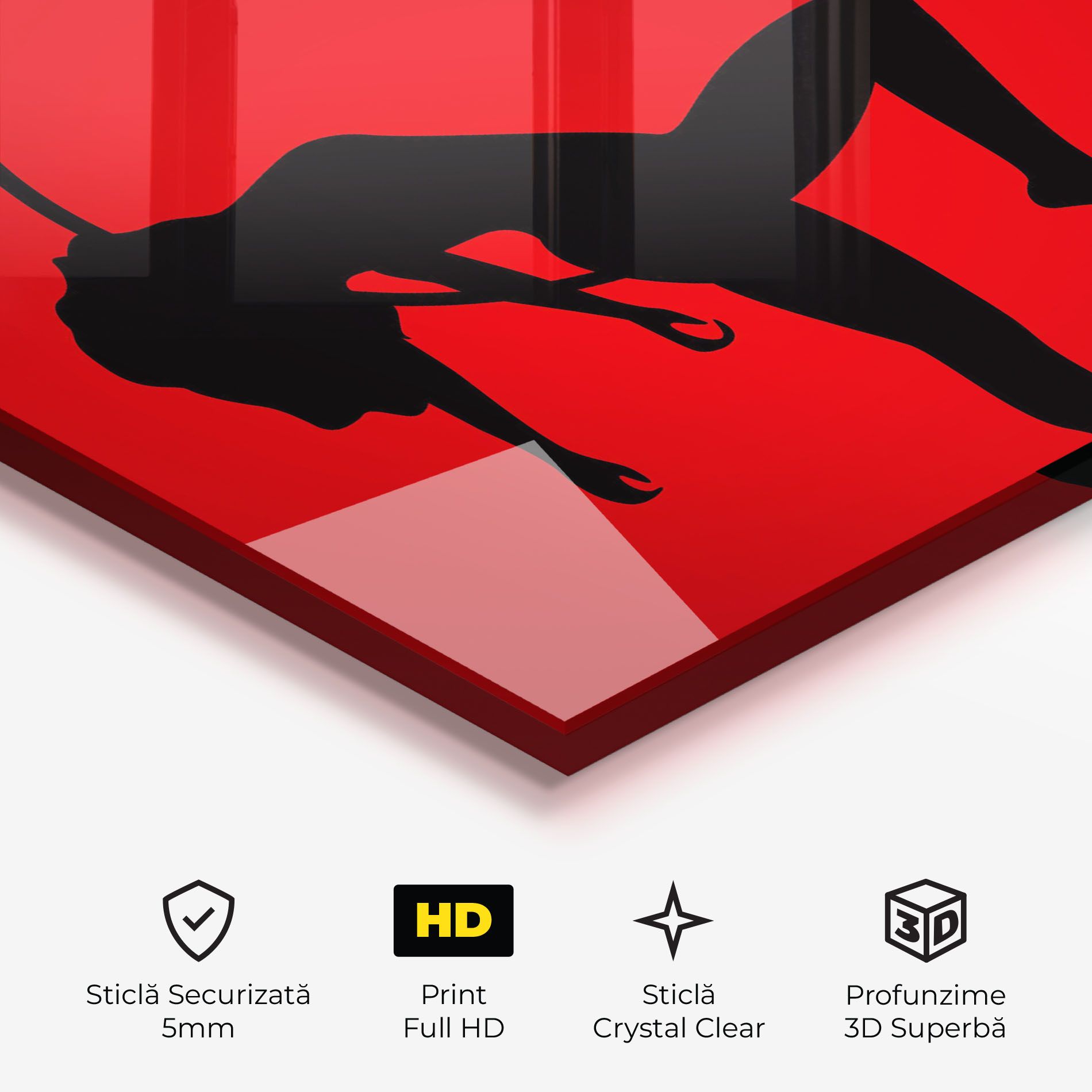 Dancer Shilouette mockup 3