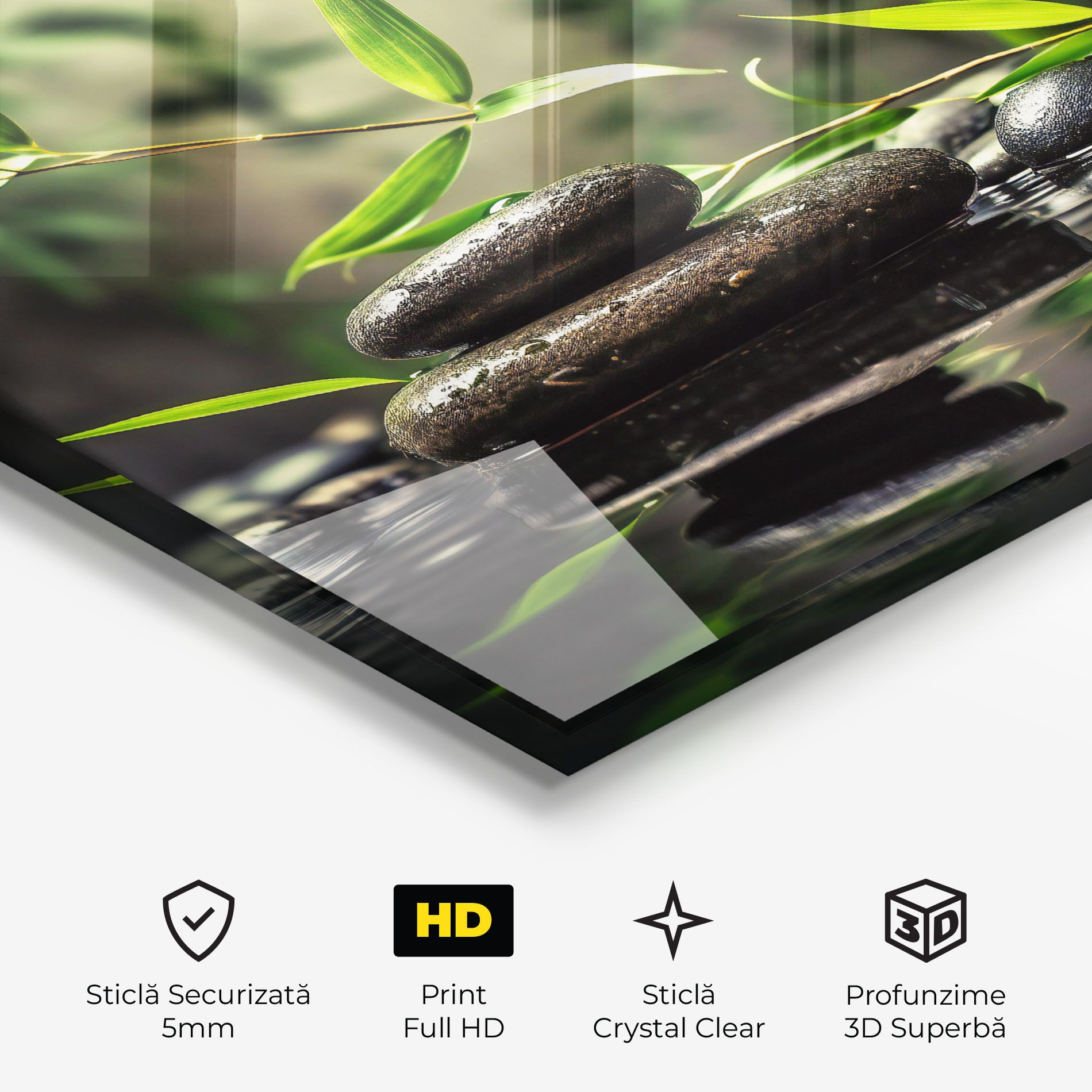 Bamboo Plant Water mockup 3