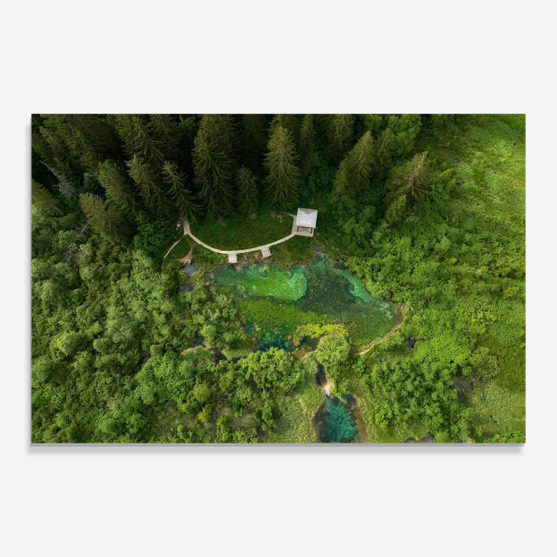 Tablou Sticla Forest Pretty View mockup 0
