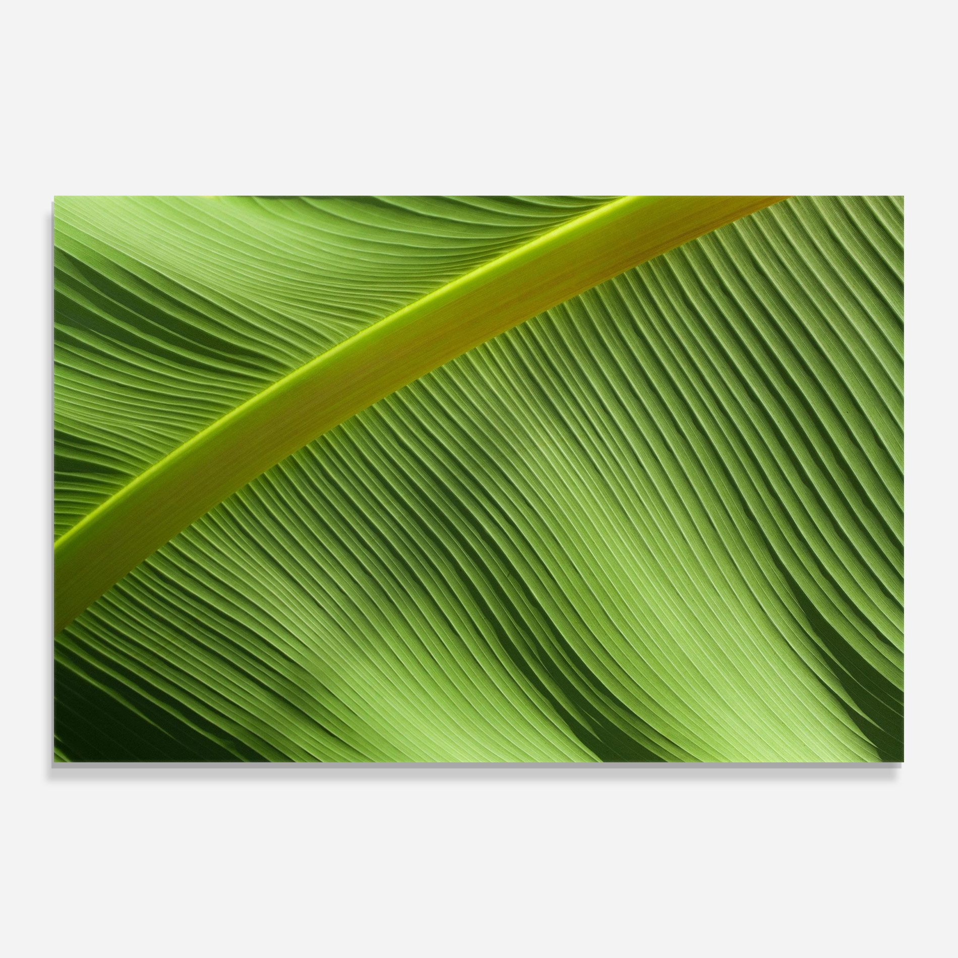 Leaf Green Close Up mockup 0
