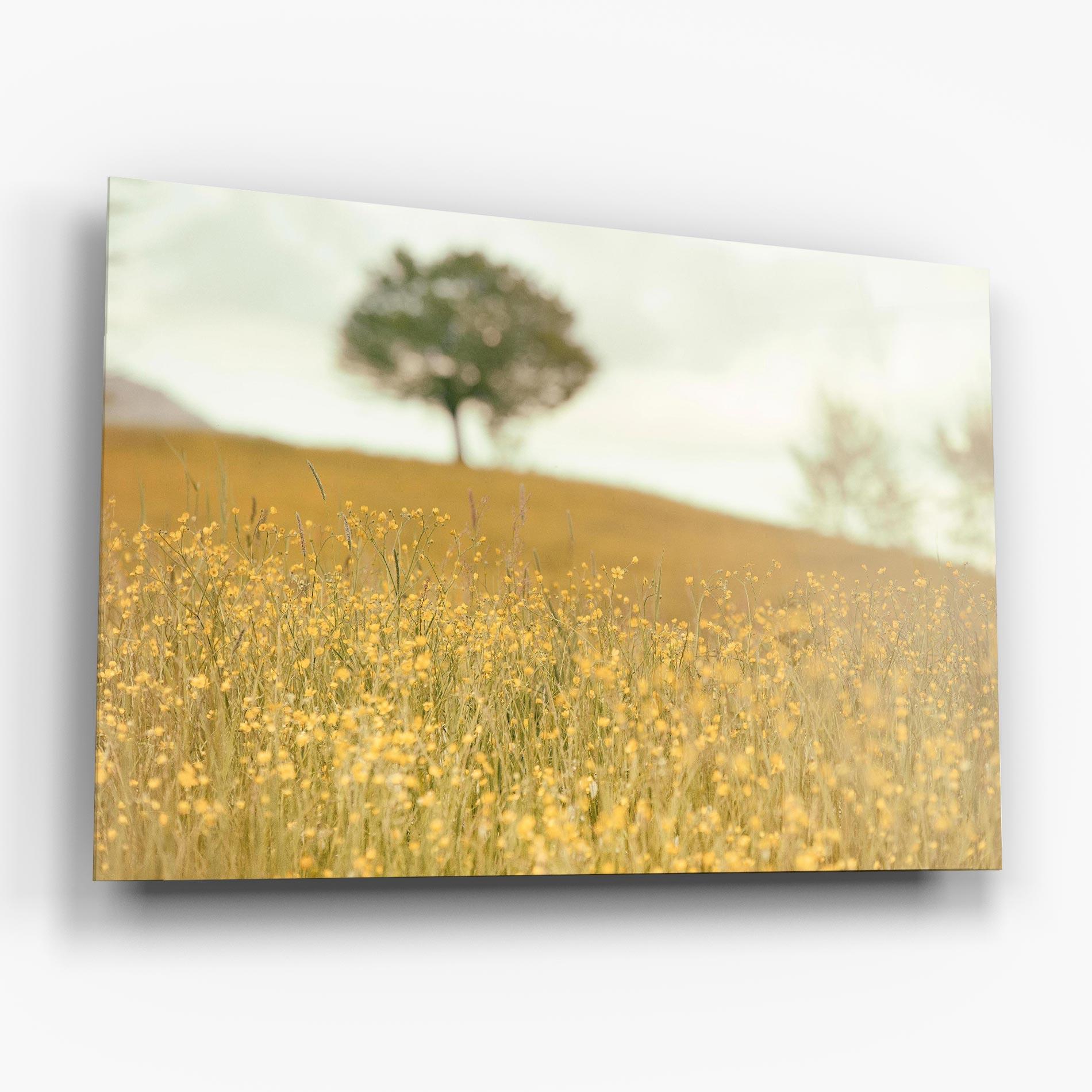 Tablou Sticla Cream Field Nature mockup 6