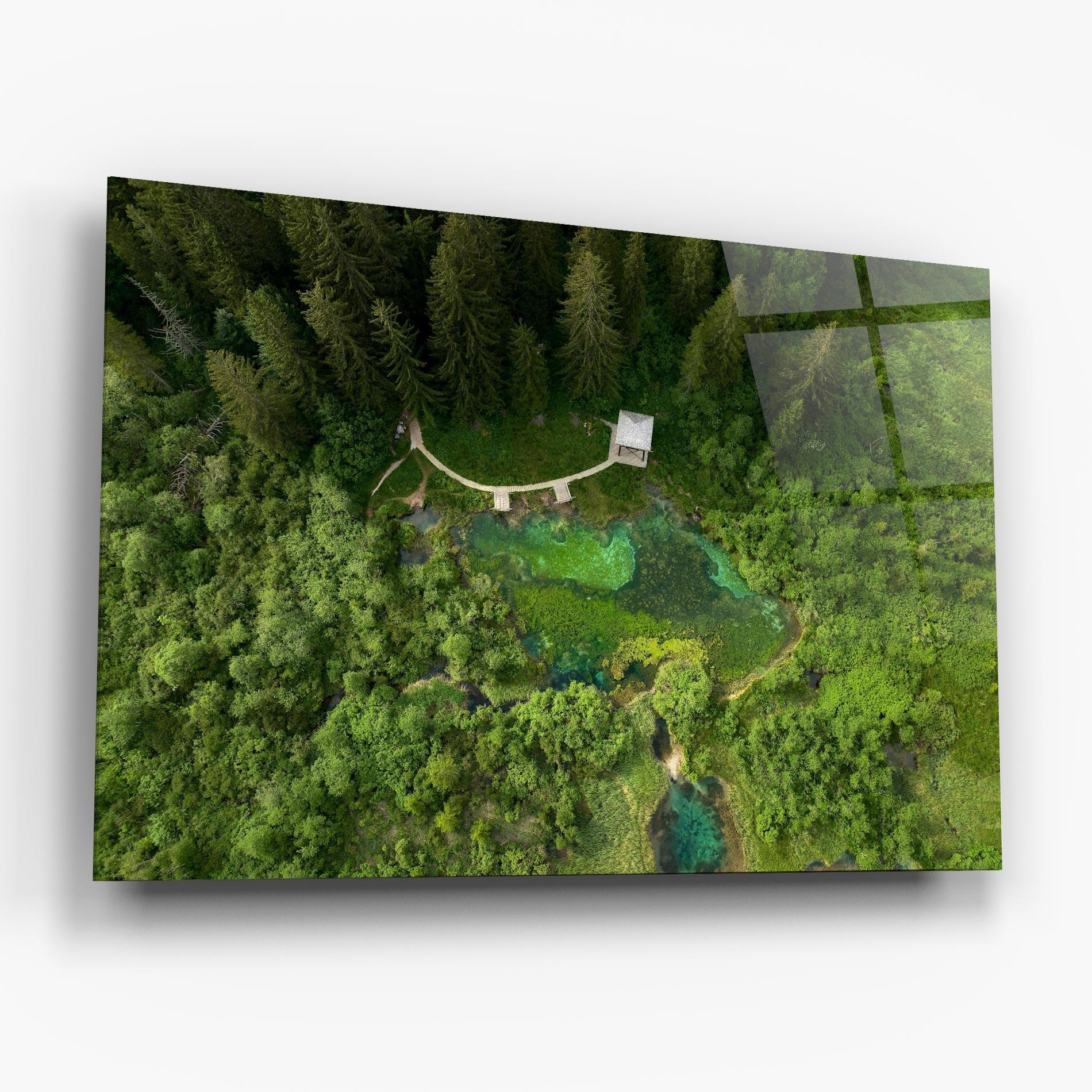 Tablou Sticla Forest Pretty View mockup 6