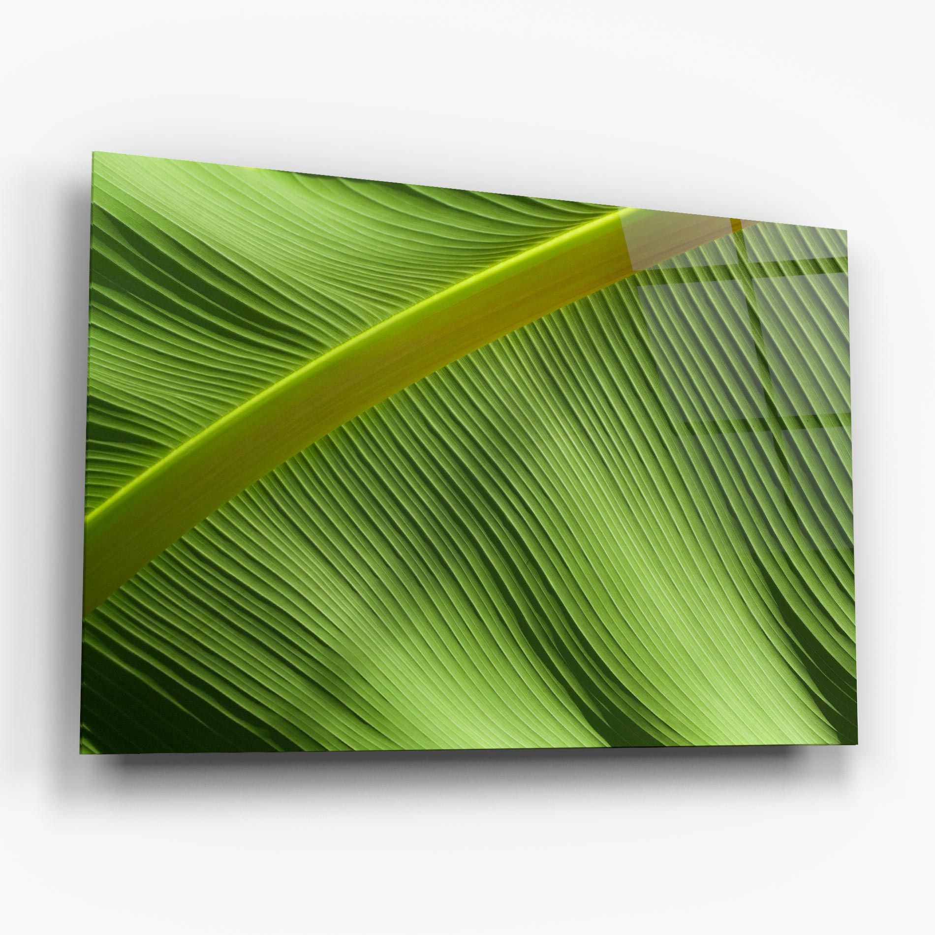 Leaf Green Close Up mockup 6