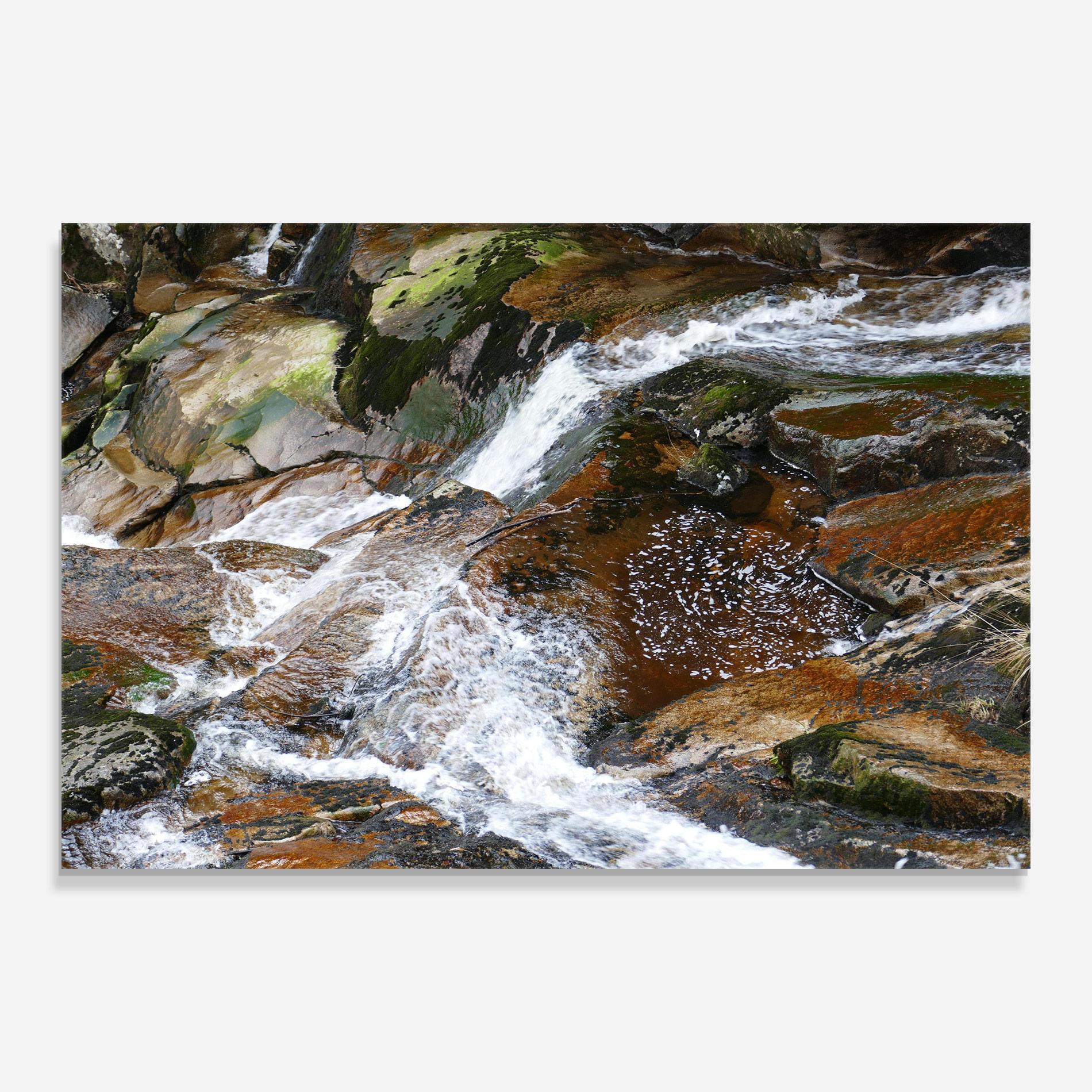 Tablou Sticla Forest Peace mockup 0