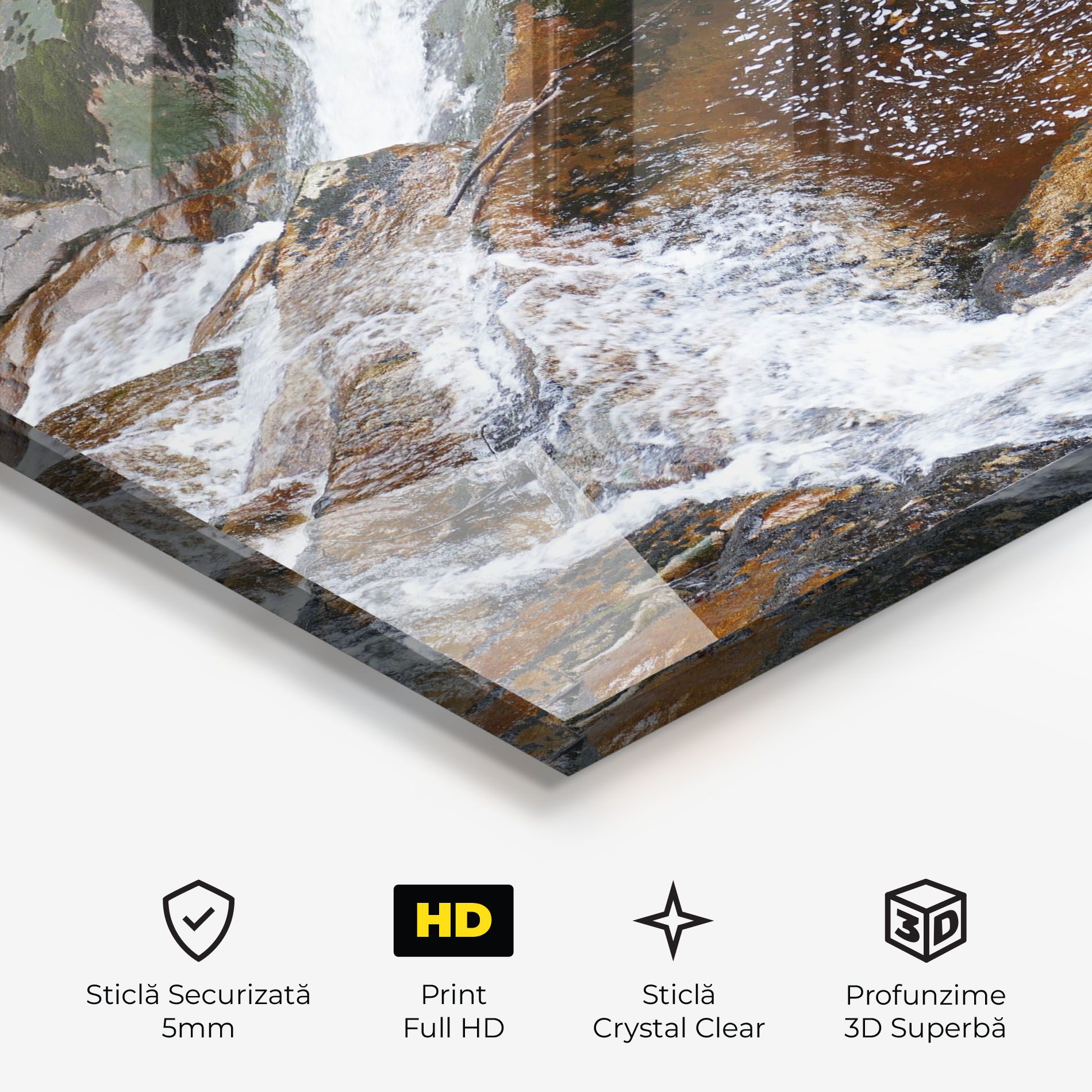 Forest Peace mockup 3