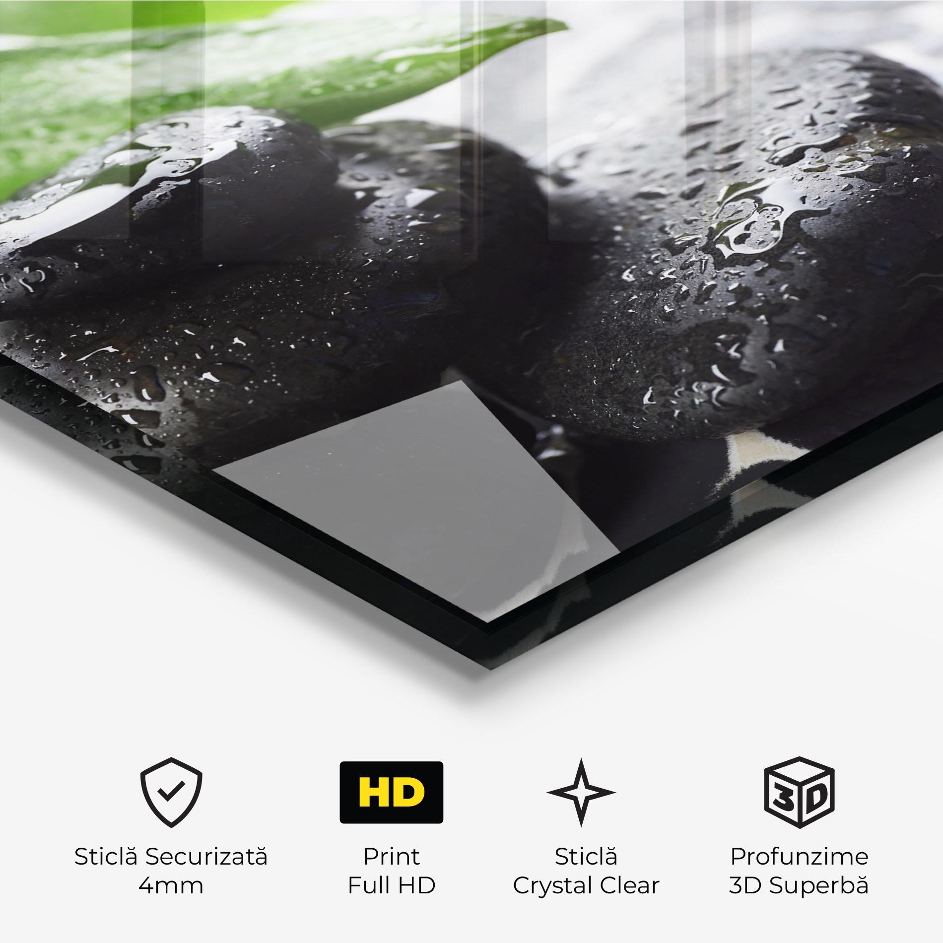 Tablou Sticla Bamboo Branch Stones mockup 3