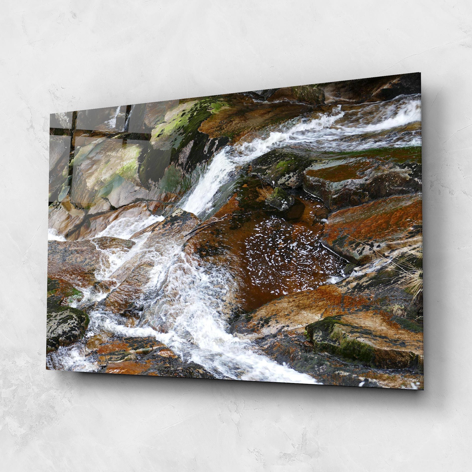 Forest Peace mockup 1