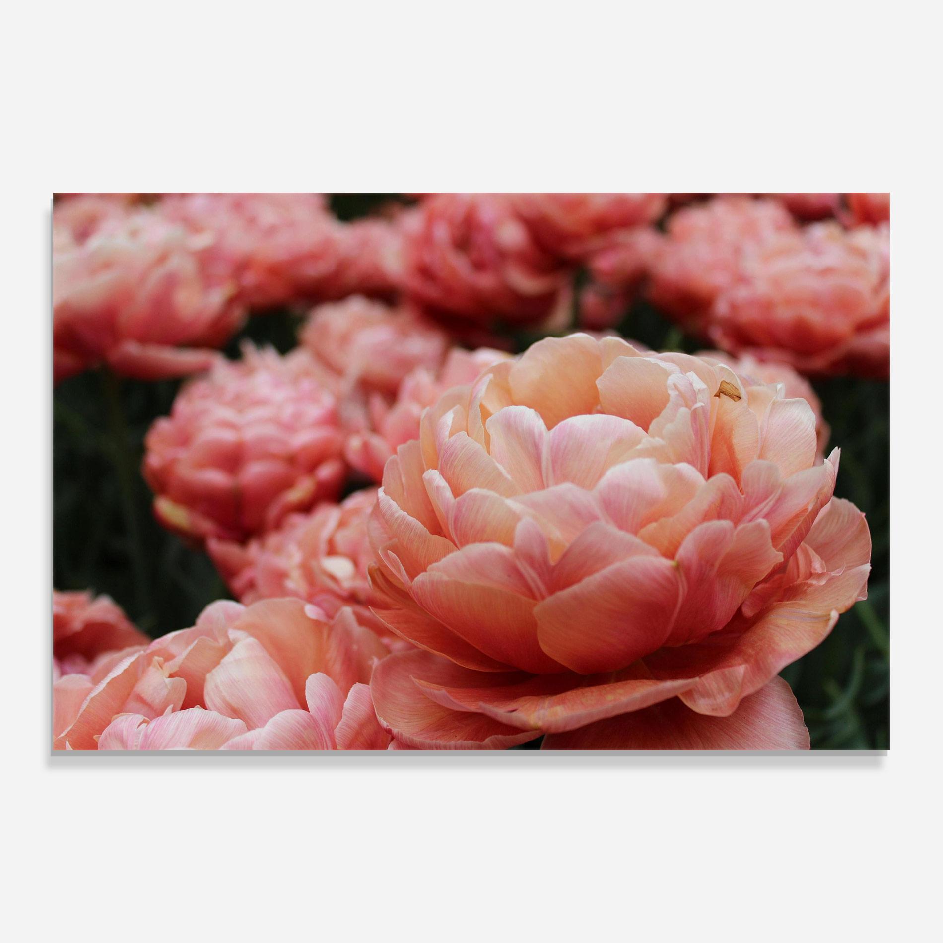 Tablou Sticla Light Orange Peony mockup 0