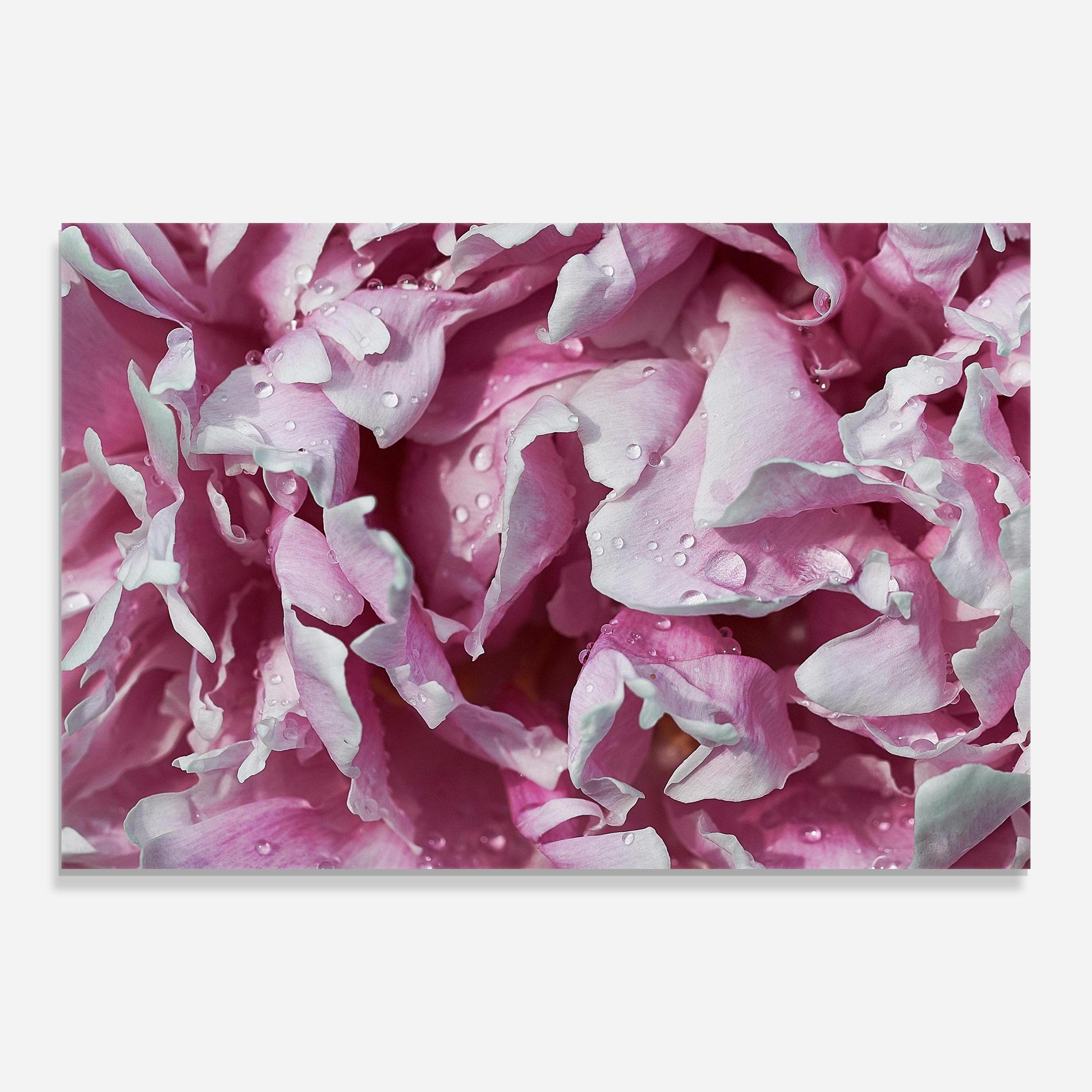 Tablou Sticla Peony Petals mockup 0
