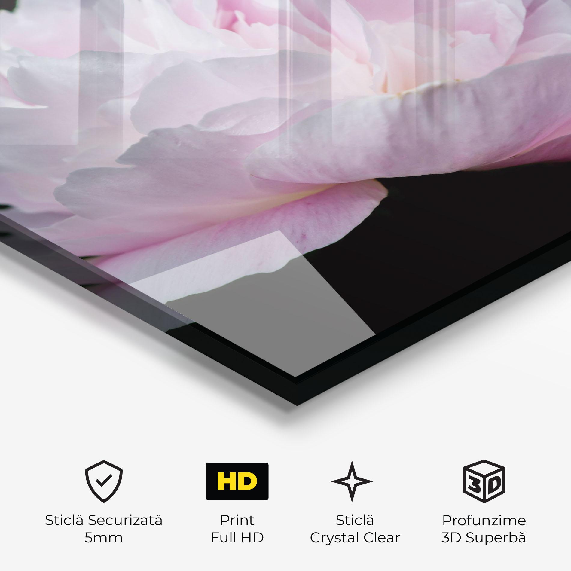 Tablou Sticla Pastel Peony On Black mockup 3