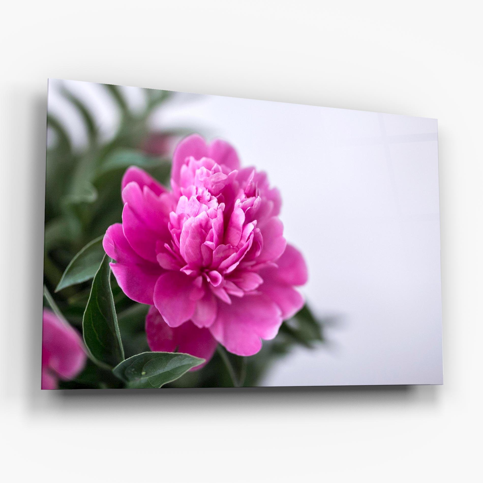 Tablou Sticla Dark Pink Peony mockup 6