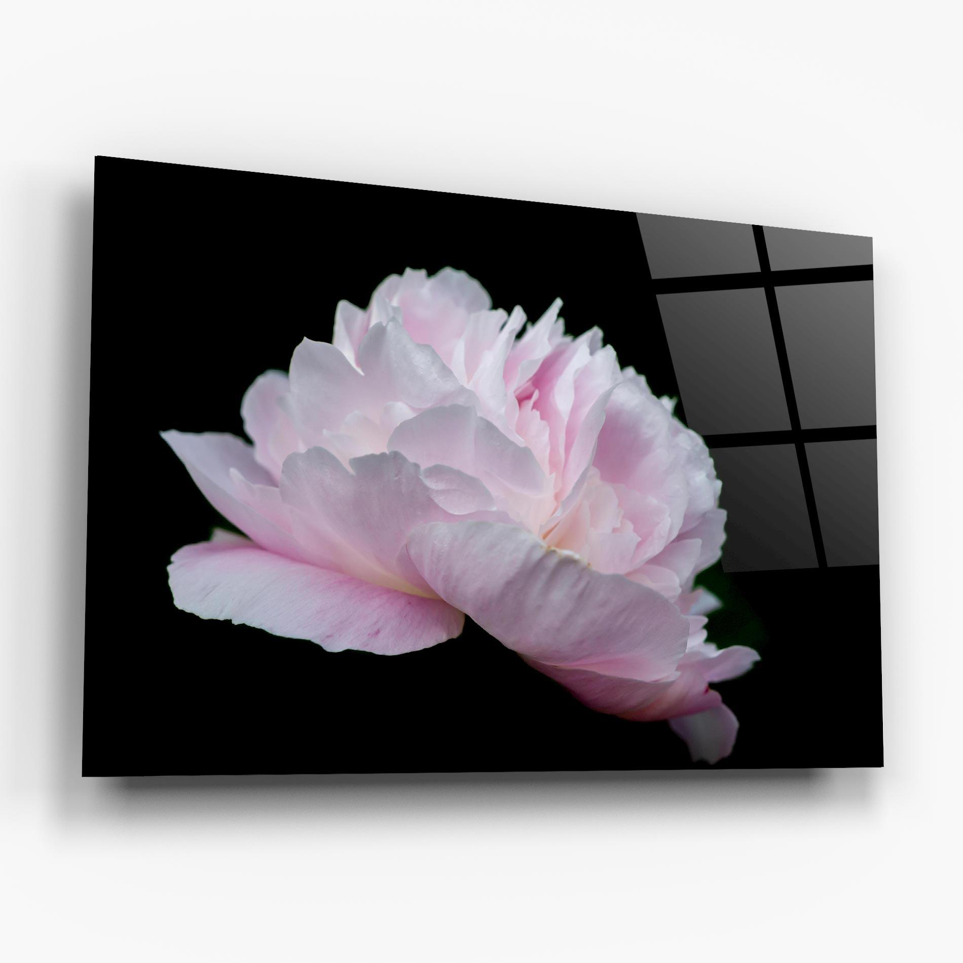 Tablou Sticla Pastel Peony On Black mockup 6