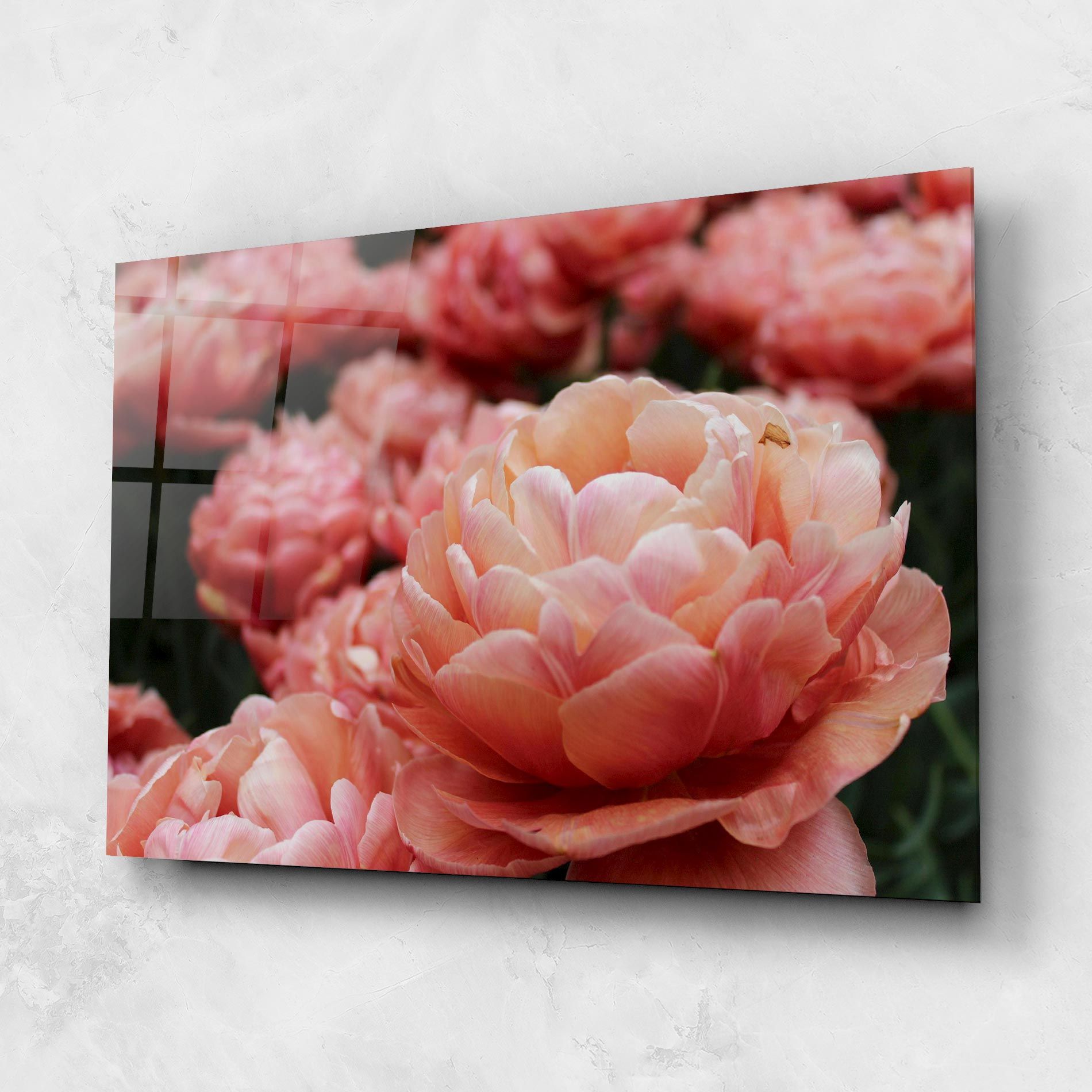 Light Orange Peony mockup 1