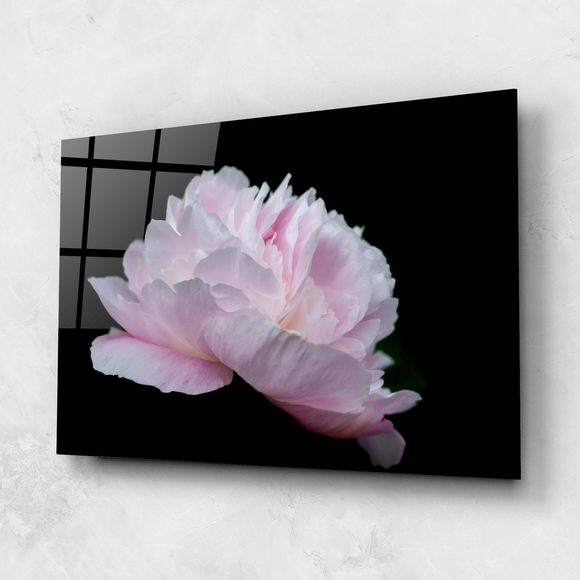 Tablou Sticla Pastel Peony On Black mockup 1