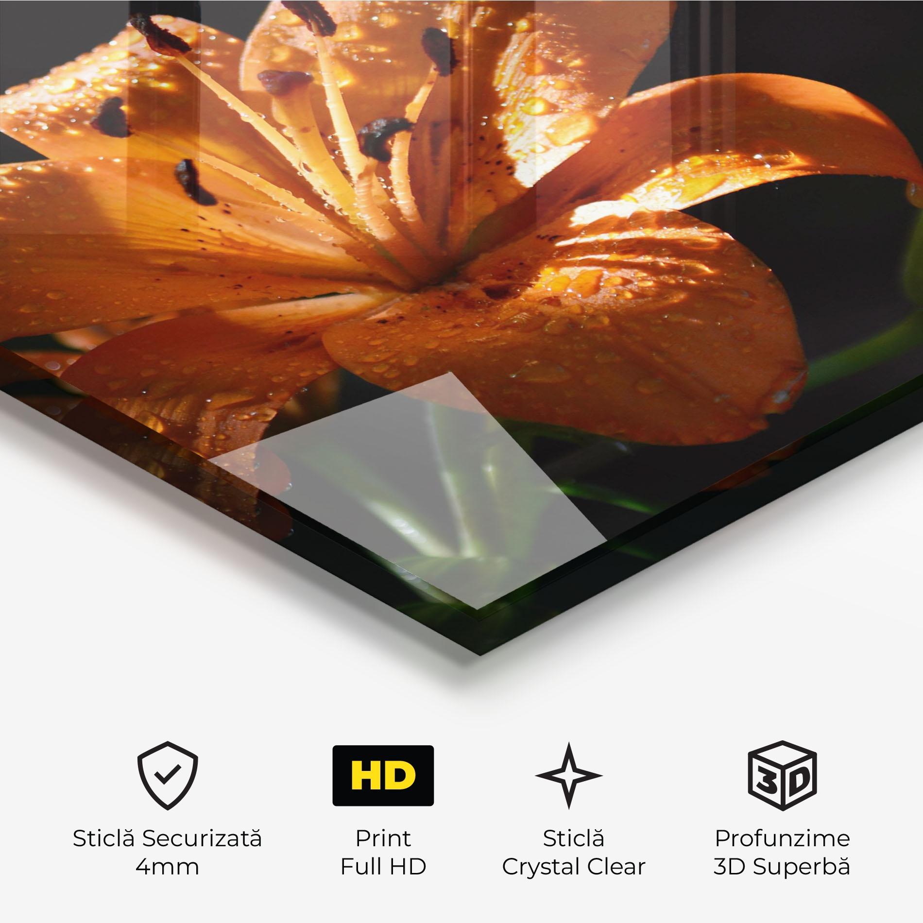 Tablou Sticla Open Orange Lily On Black mockup 3