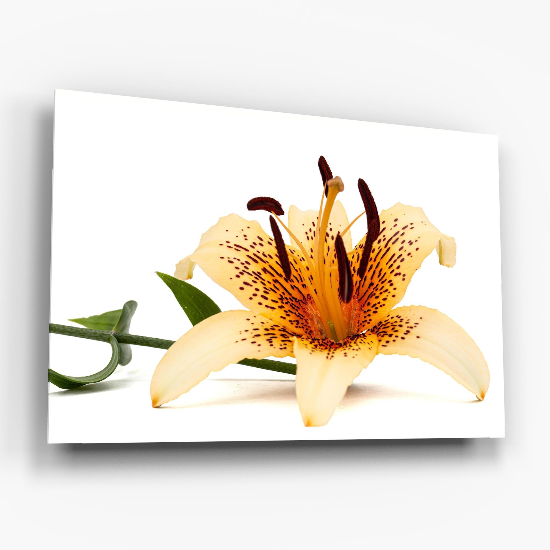 Tablou Sticla Big Yellow Lily mockup 6