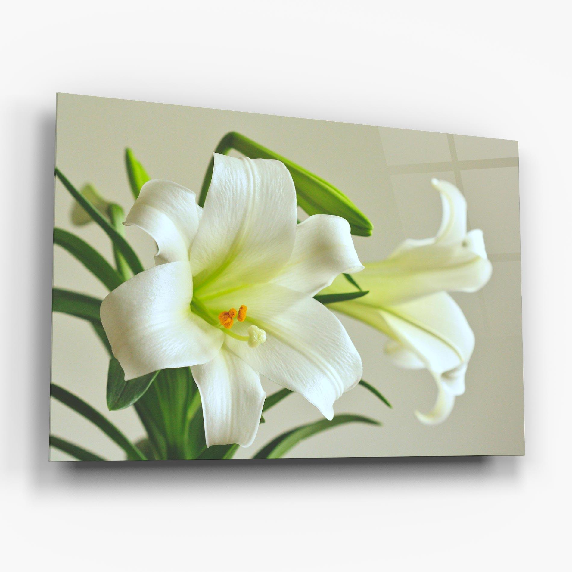 Tablou Sticla Green Lily mockup 6