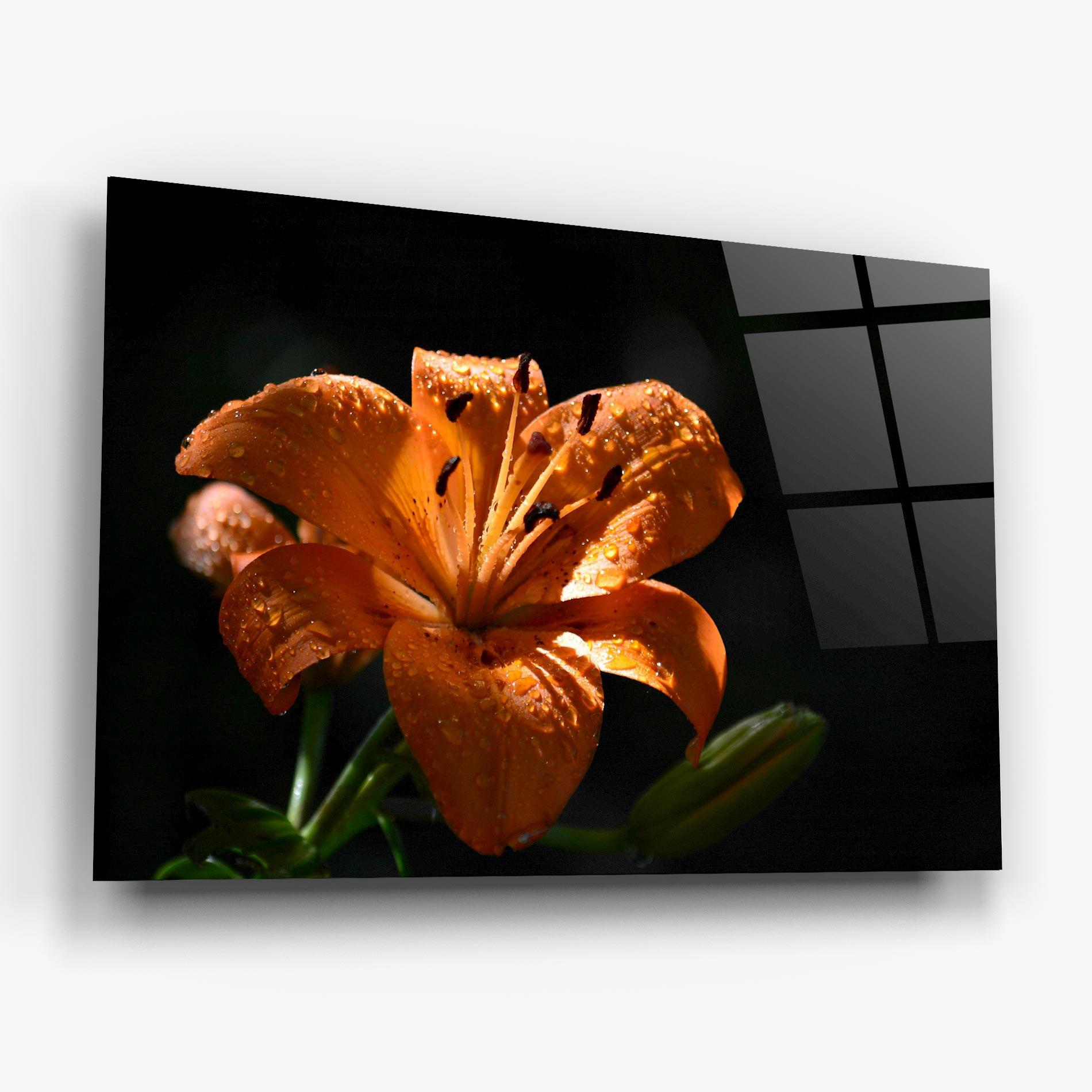 Tablou Sticla Open Orange Lily On Black mockup 6