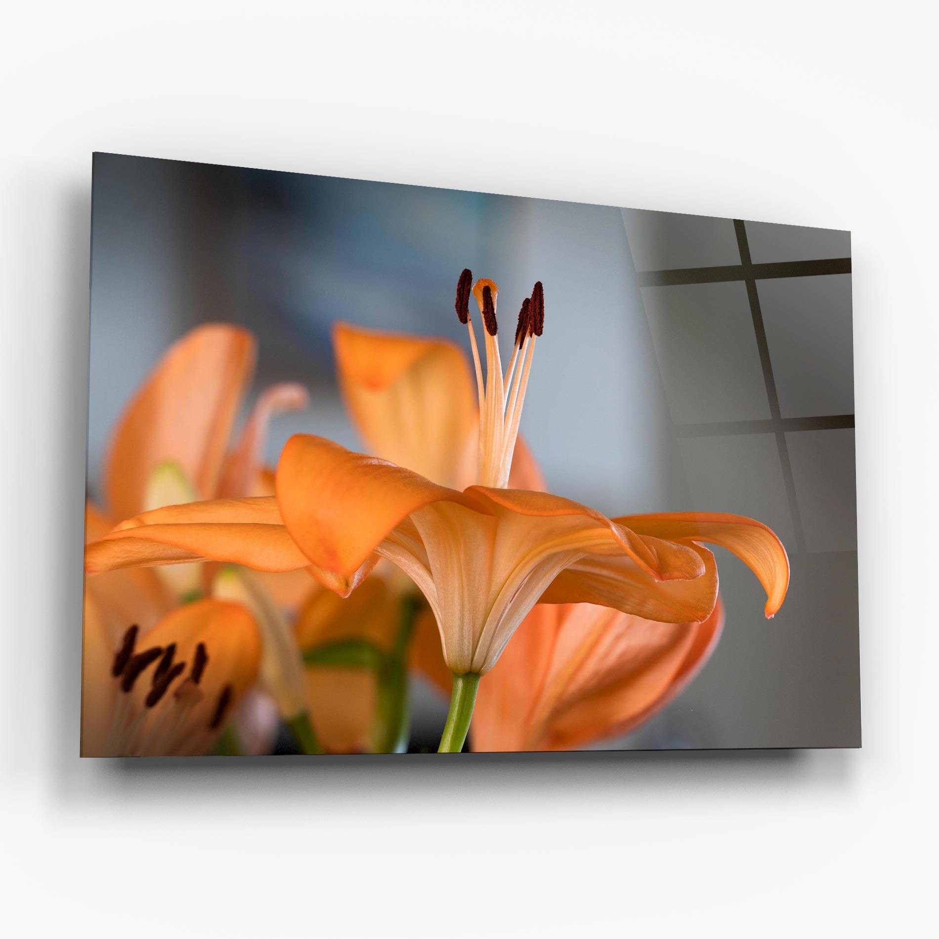 Tablou Sticla Open Orange Lily mockup 6